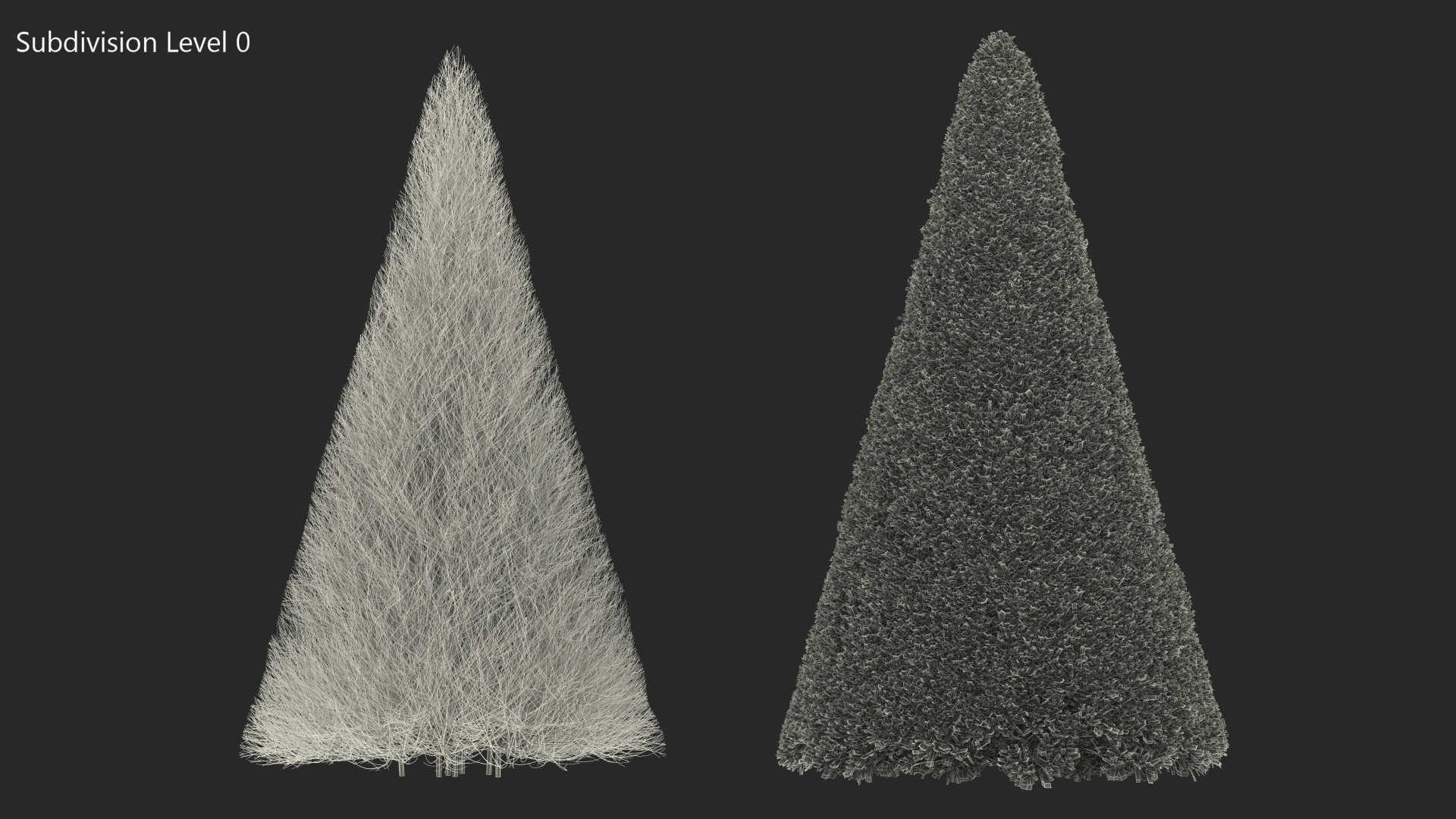 3D Pyramidal Green Mountain Boxwood Shrub model