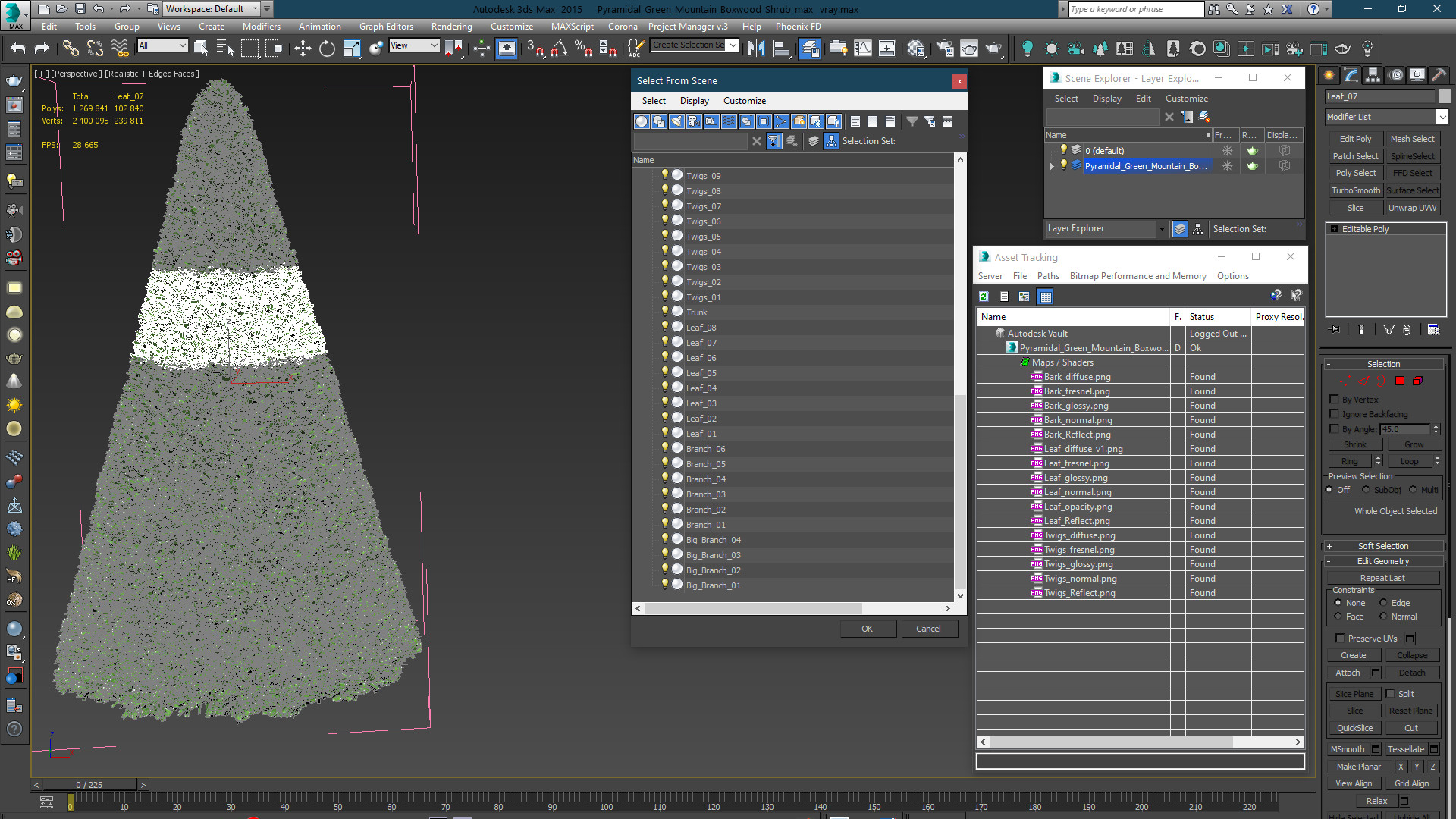 3D Pyramidal Green Mountain Boxwood Shrub model