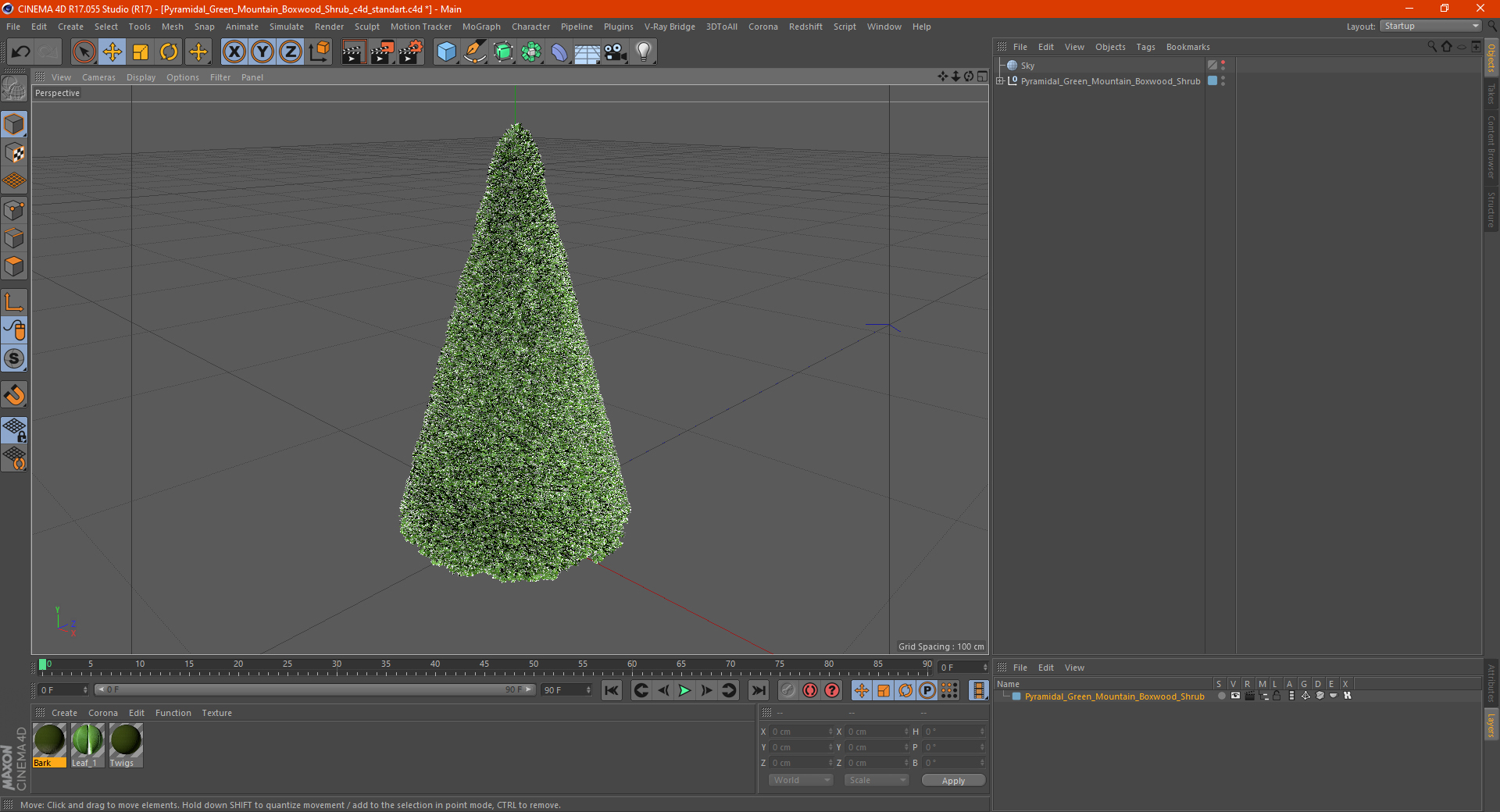 3D Pyramidal Green Mountain Boxwood Shrub model