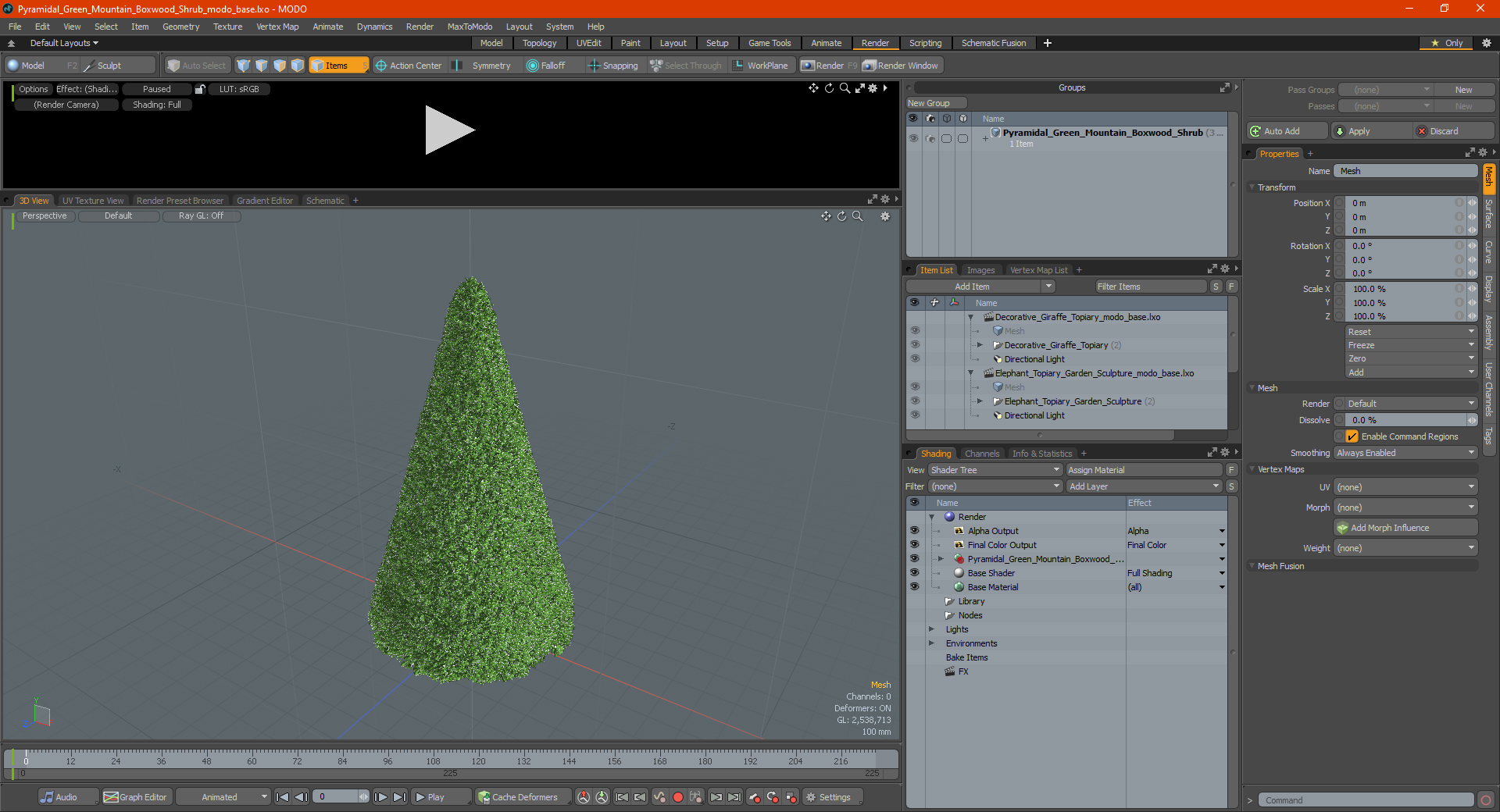 3D Pyramidal Green Mountain Boxwood Shrub model