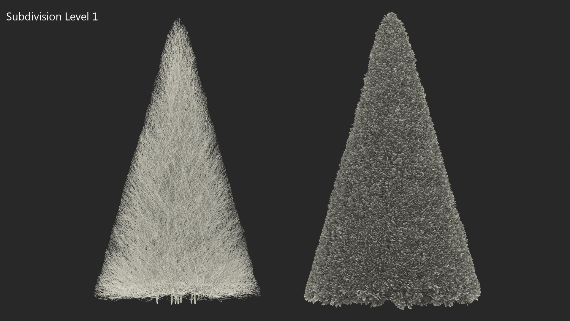 3D Pyramidal Green Mountain Boxwood Shrub model