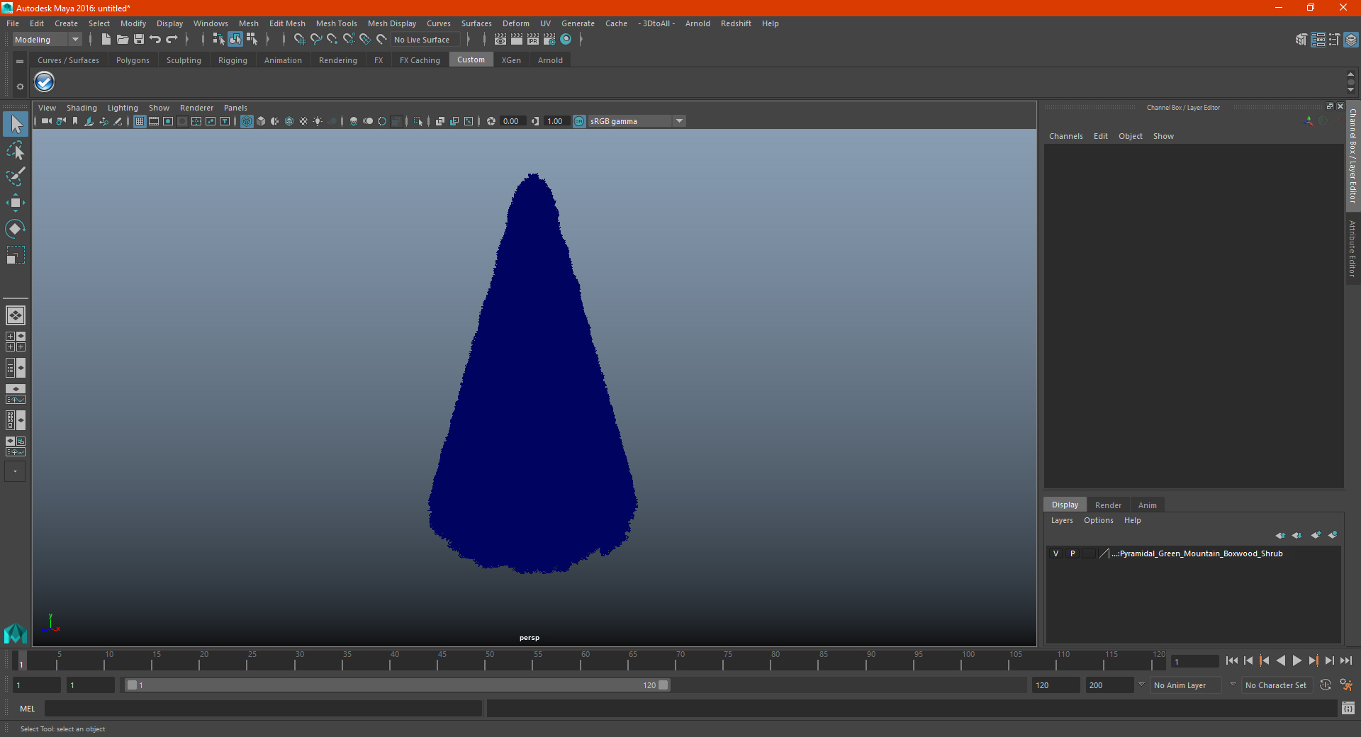 3D Pyramidal Green Mountain Boxwood Shrub model