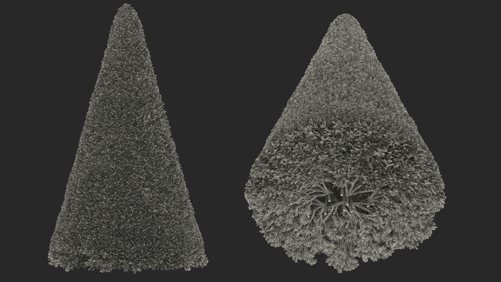 3D Pyramidal Green Mountain Boxwood Shrub model
