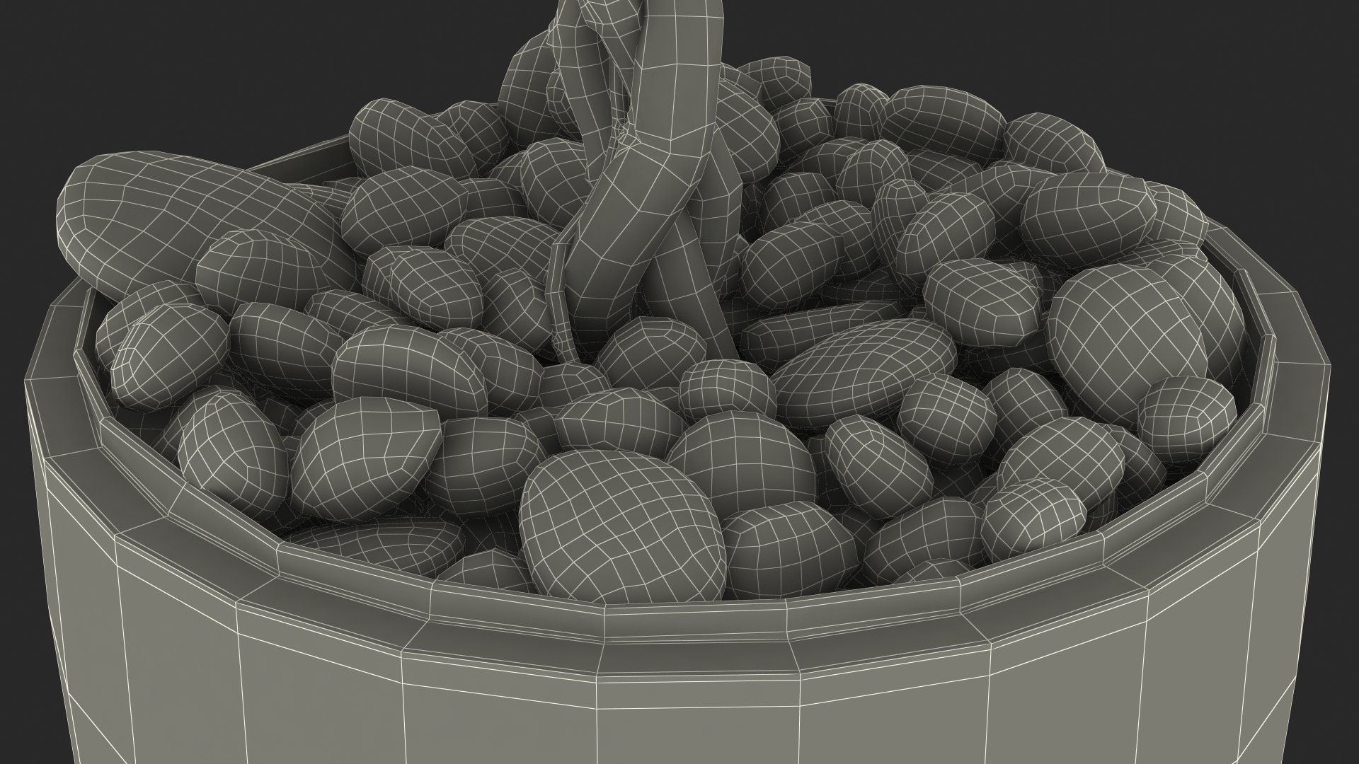 Ficus Benjamina Weeping Fig in Pot 3D model