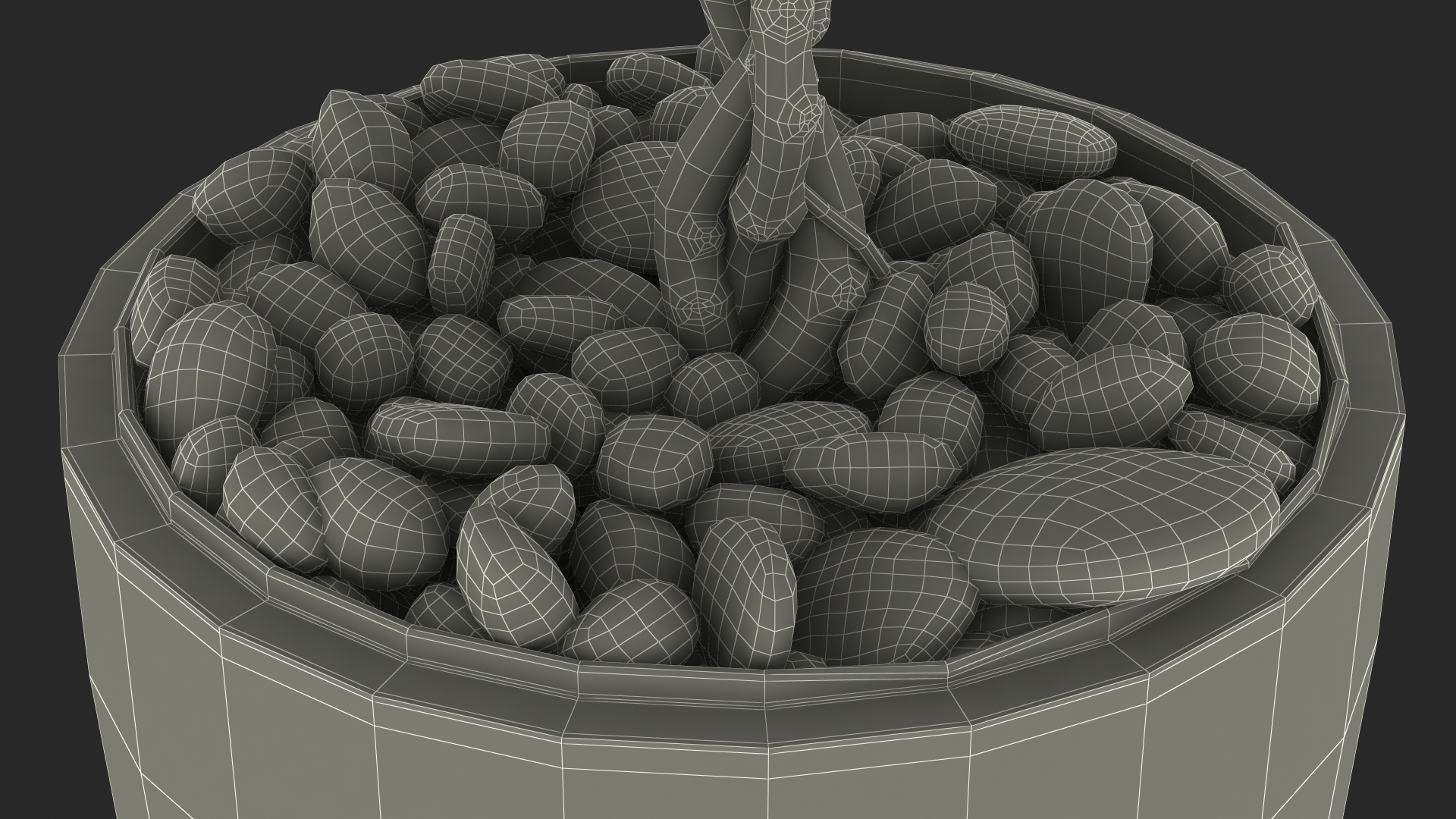 Ficus Benjamina Weeping Fig in Pot 3D model