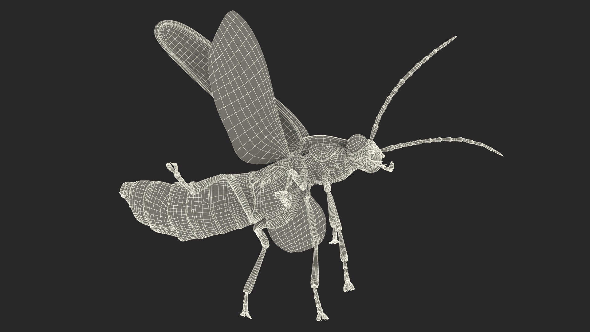 3D model Photinus Pyralis Standing Pose