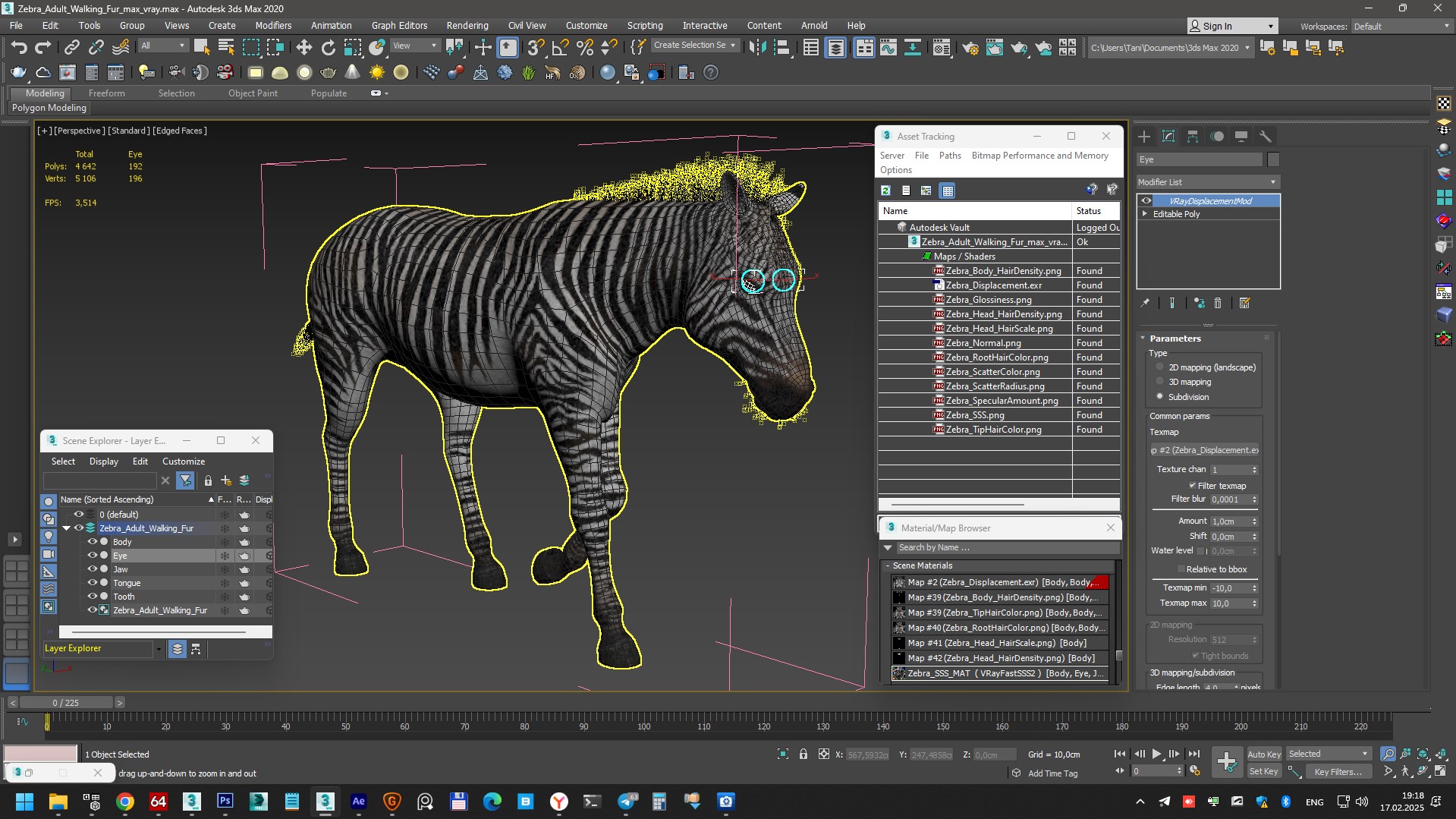 3D Zebra Adult Walking Fur model