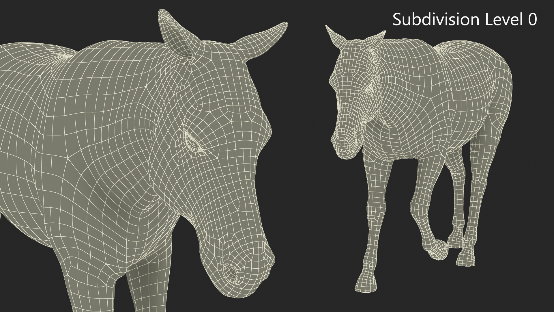 3D Zebra Adult Walking Fur model
