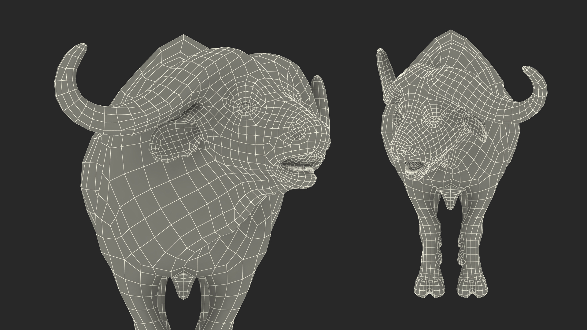 3D model Cape Buffalo African Buffalo Rigged