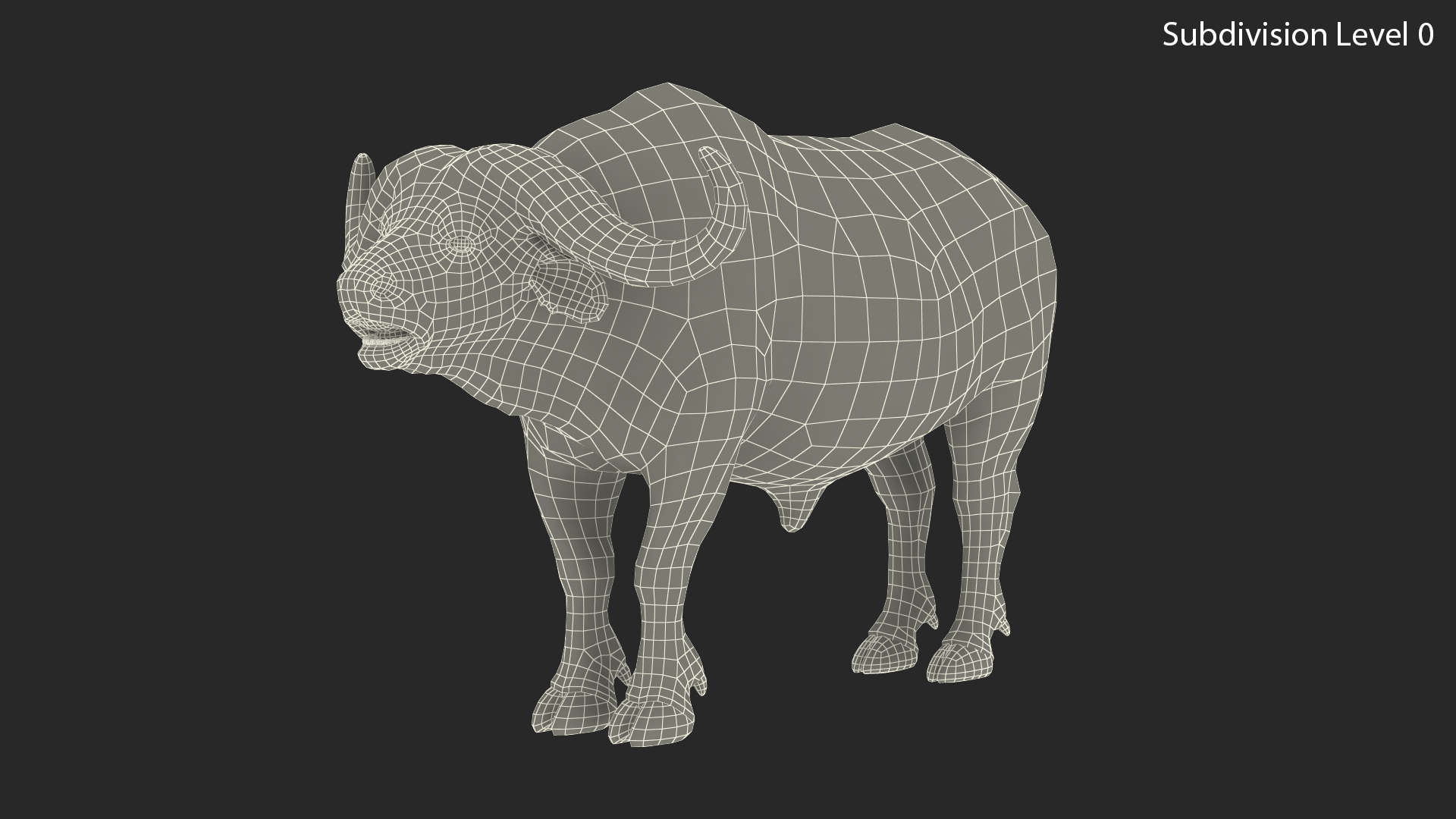 3D model Cape Buffalo African Buffalo Rigged
