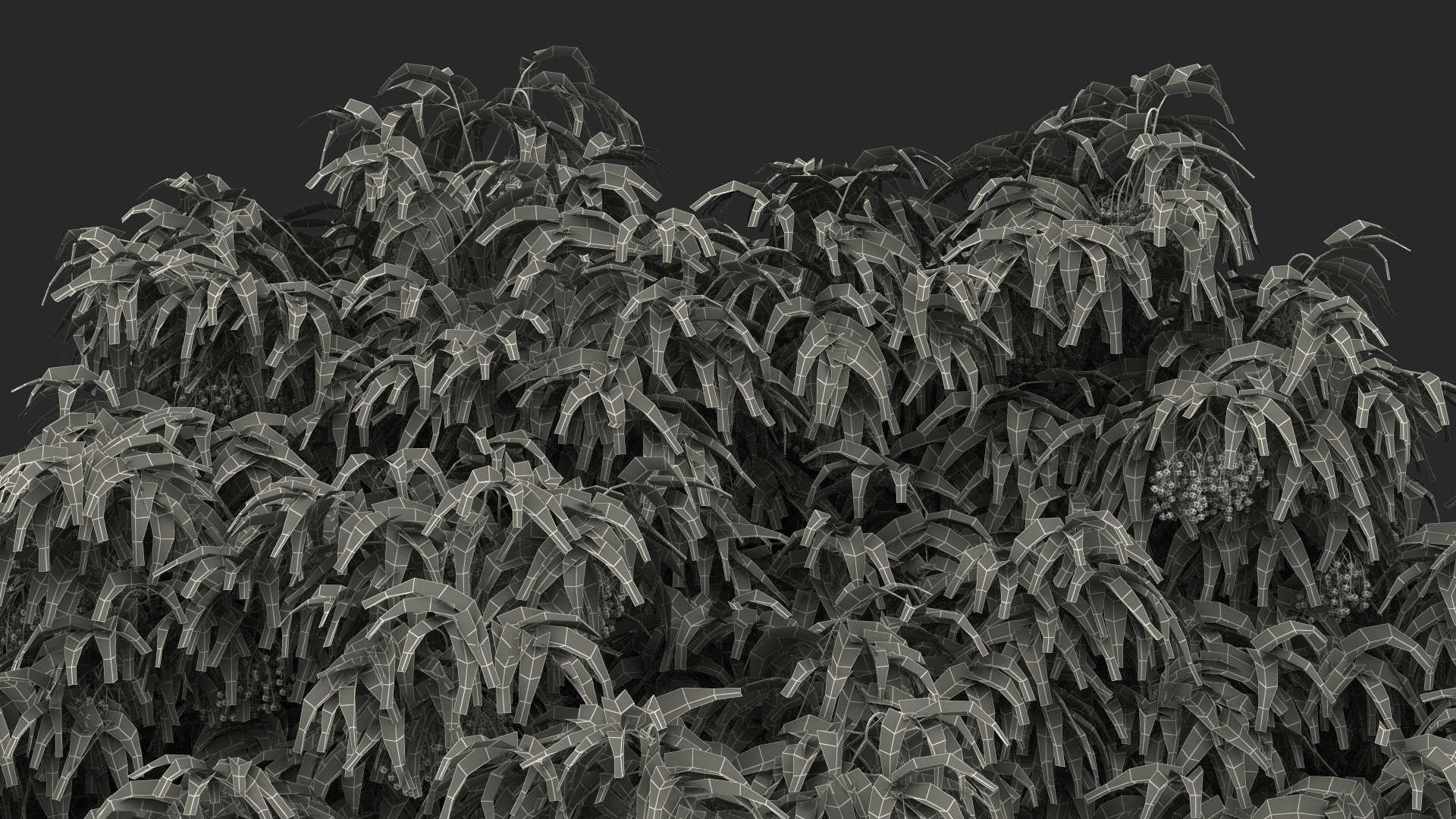 3D American Elderberry Shrub with Berries model