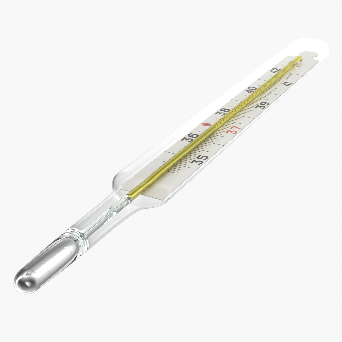 Mercury Thermometer