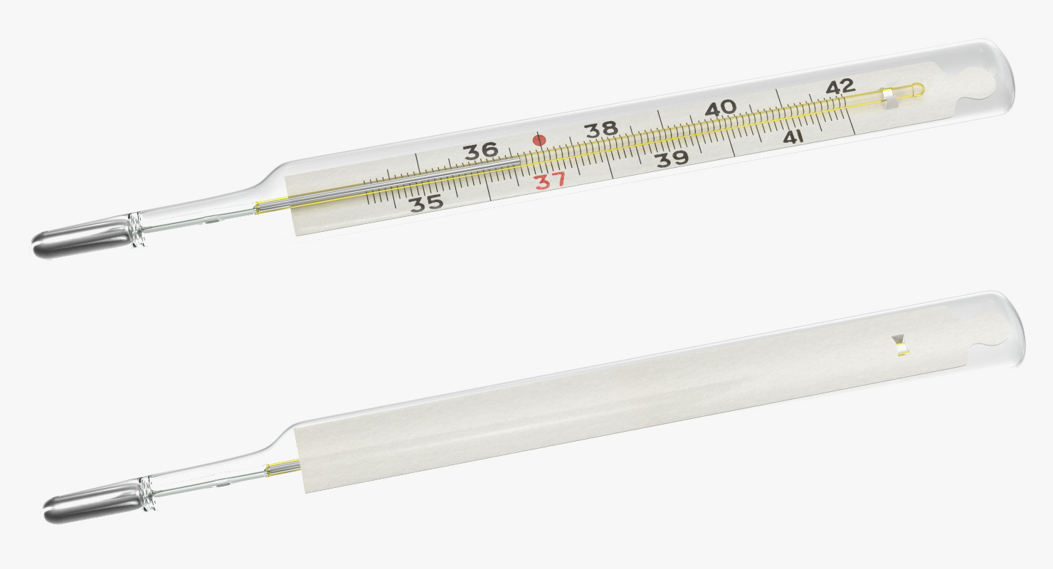 Mercury Thermometer 3D model