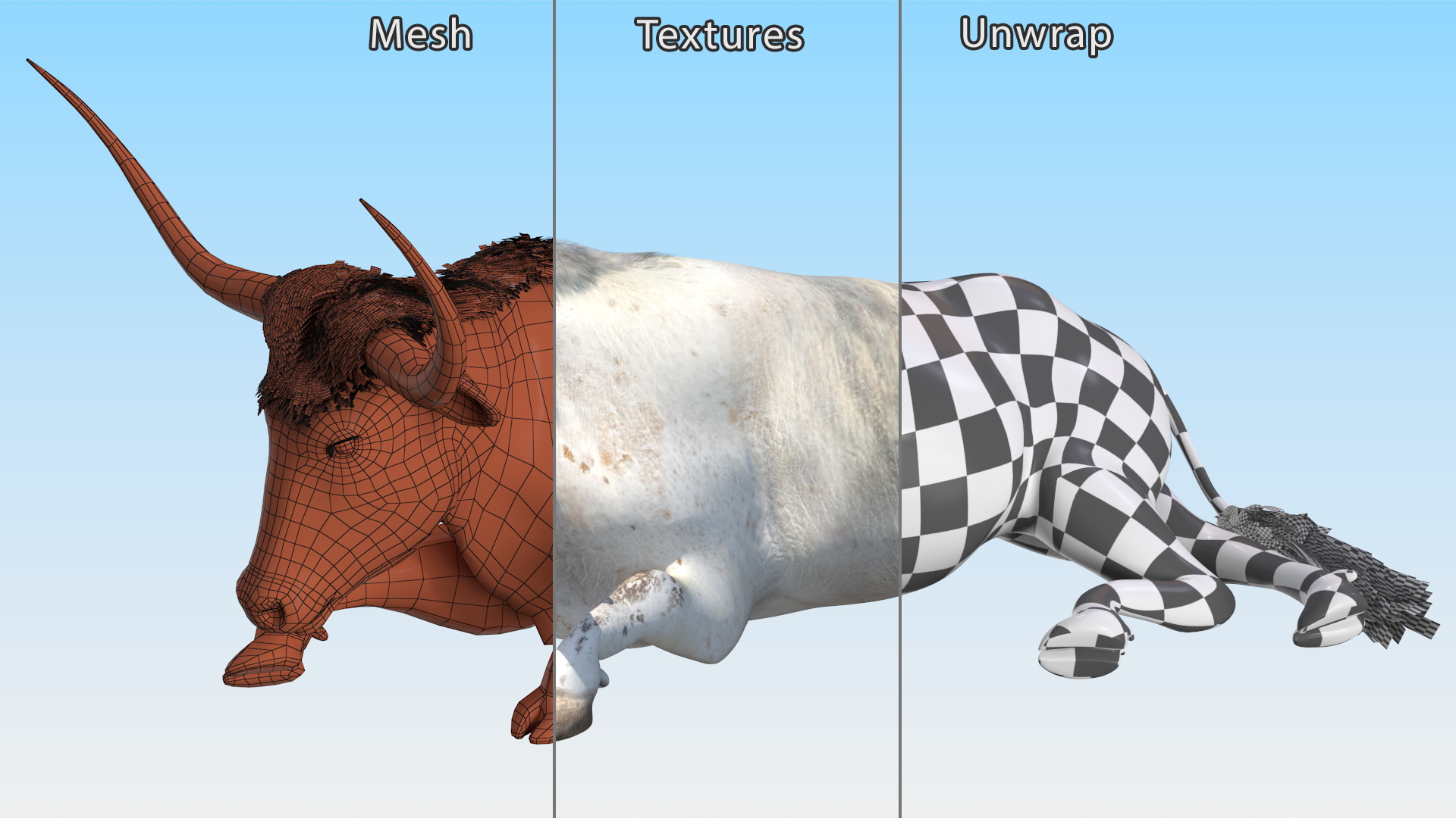 3D Lying Longhorn Bull White Color