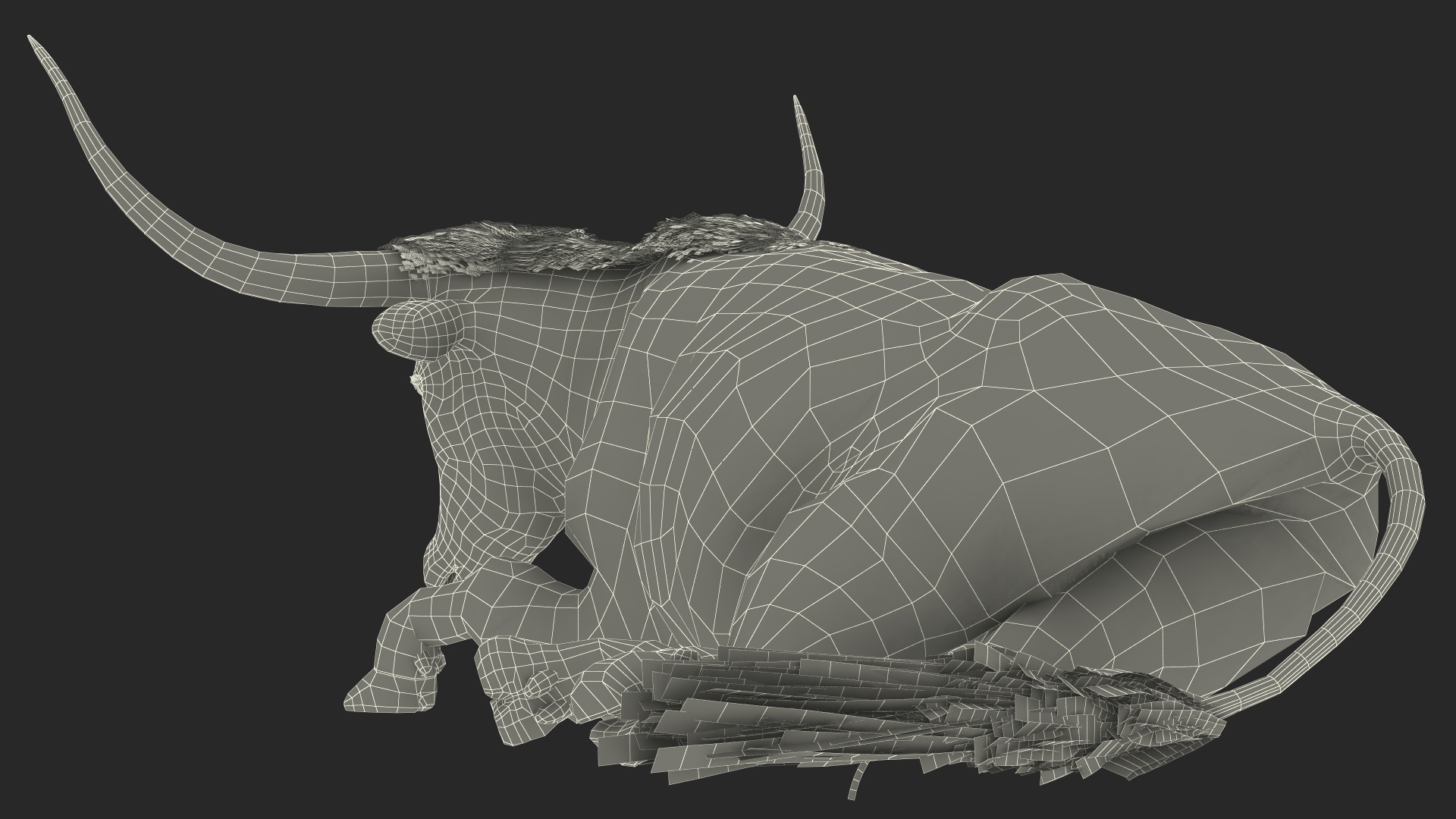 3D Lying Longhorn Bull White Color