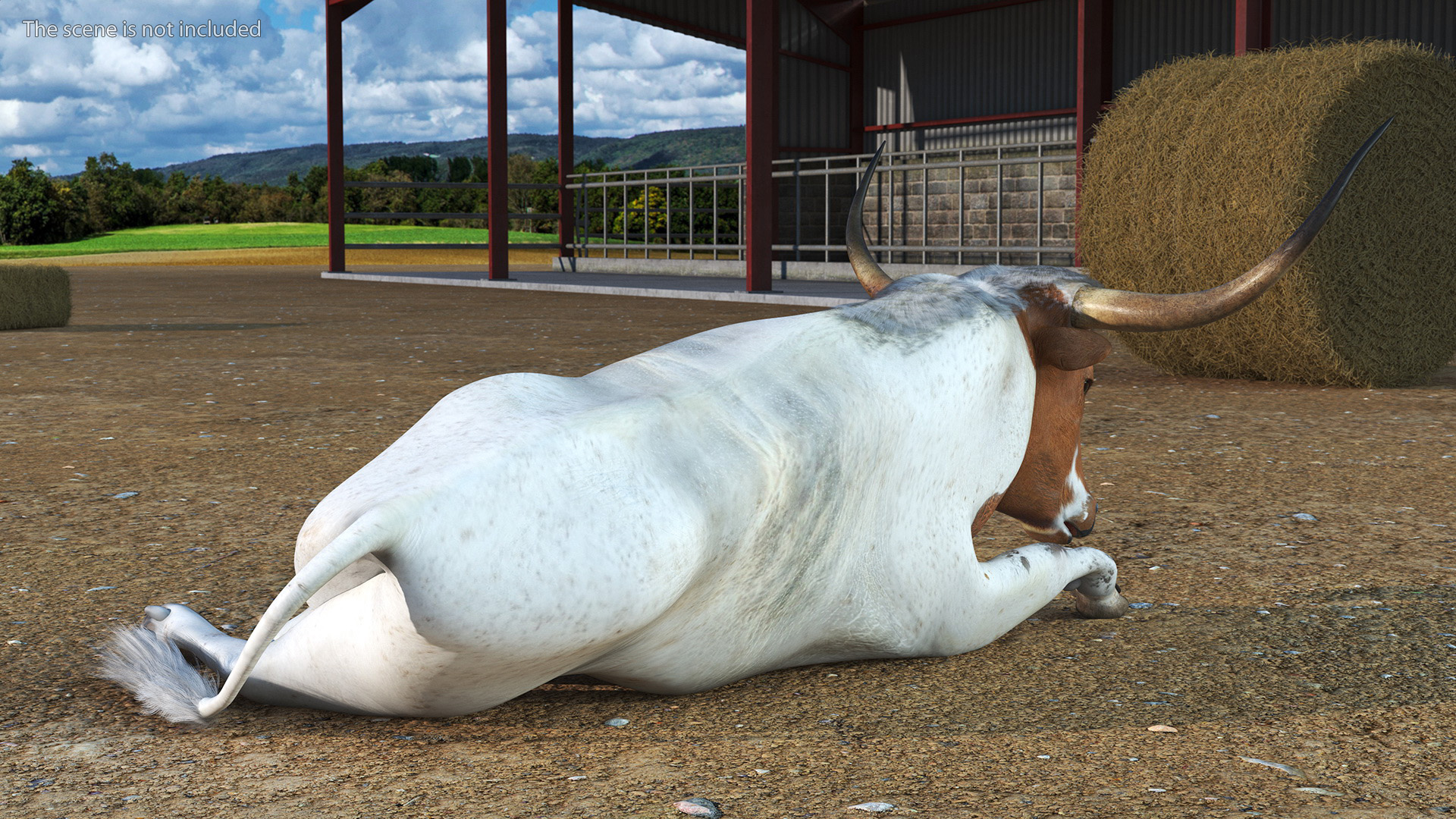 3D Lying Longhorn Bull White Color