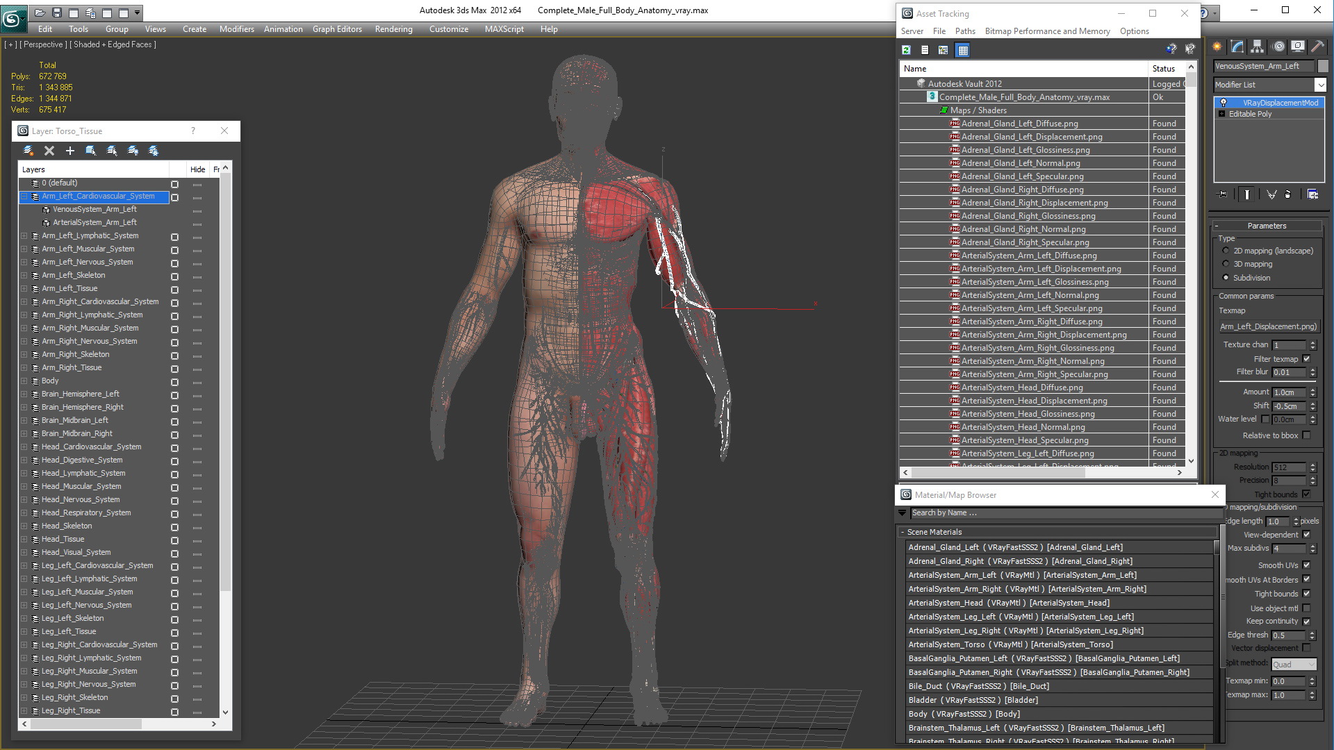 3D Complete Male Full Body Anatomy