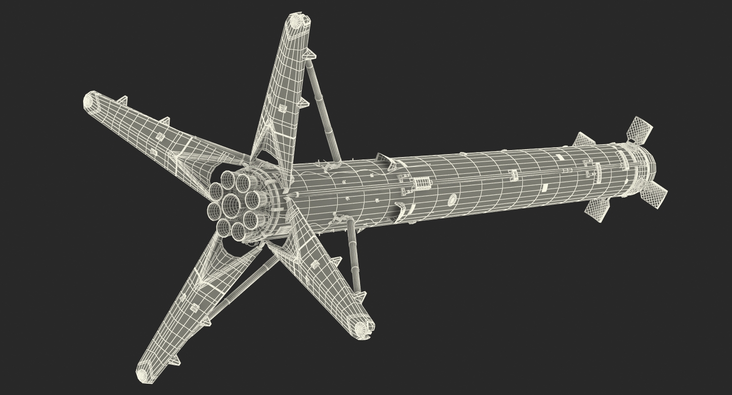Landing Rocket Booster 3D