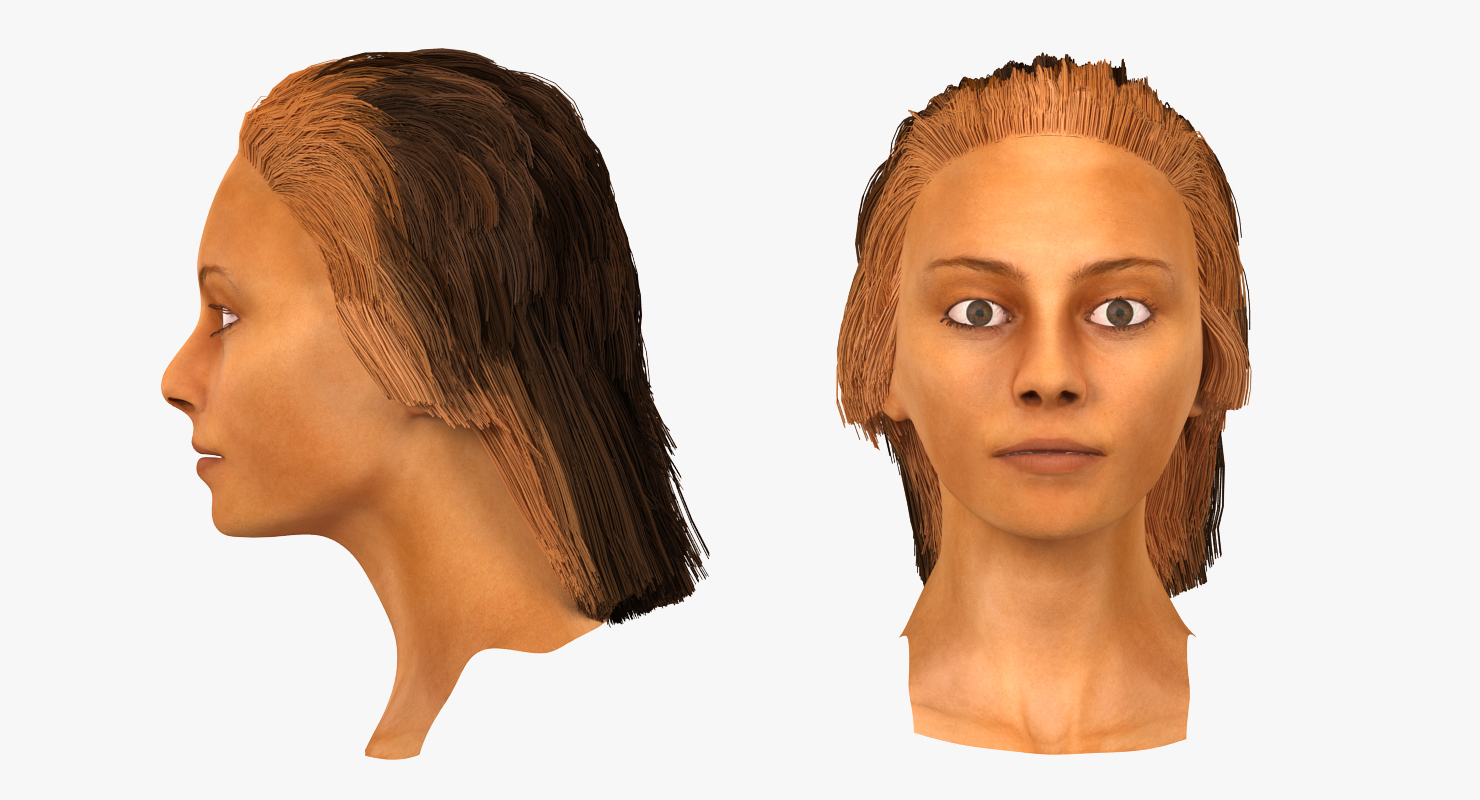 3D model Arab Woman Head