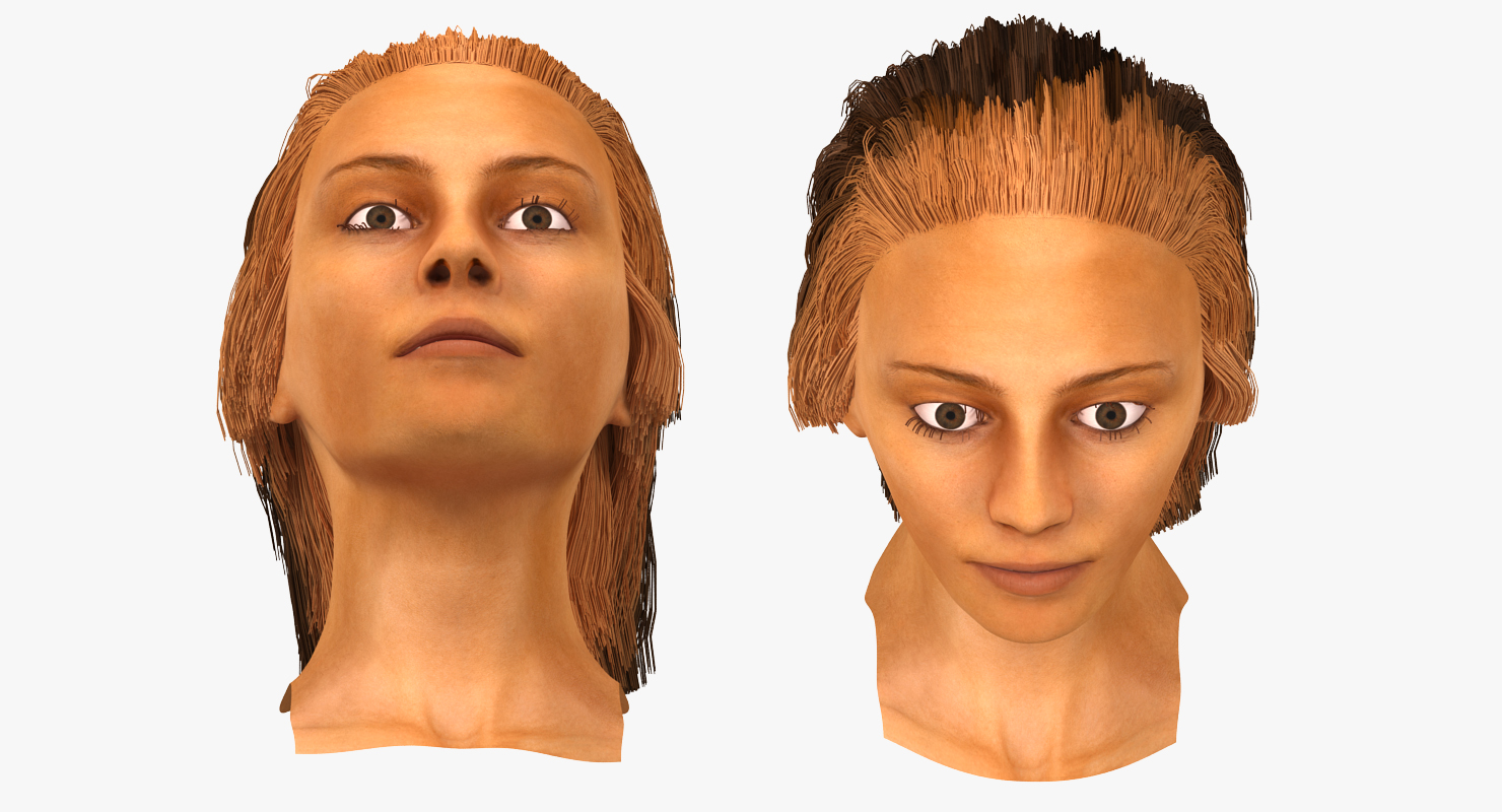 3D model Arab Woman Head