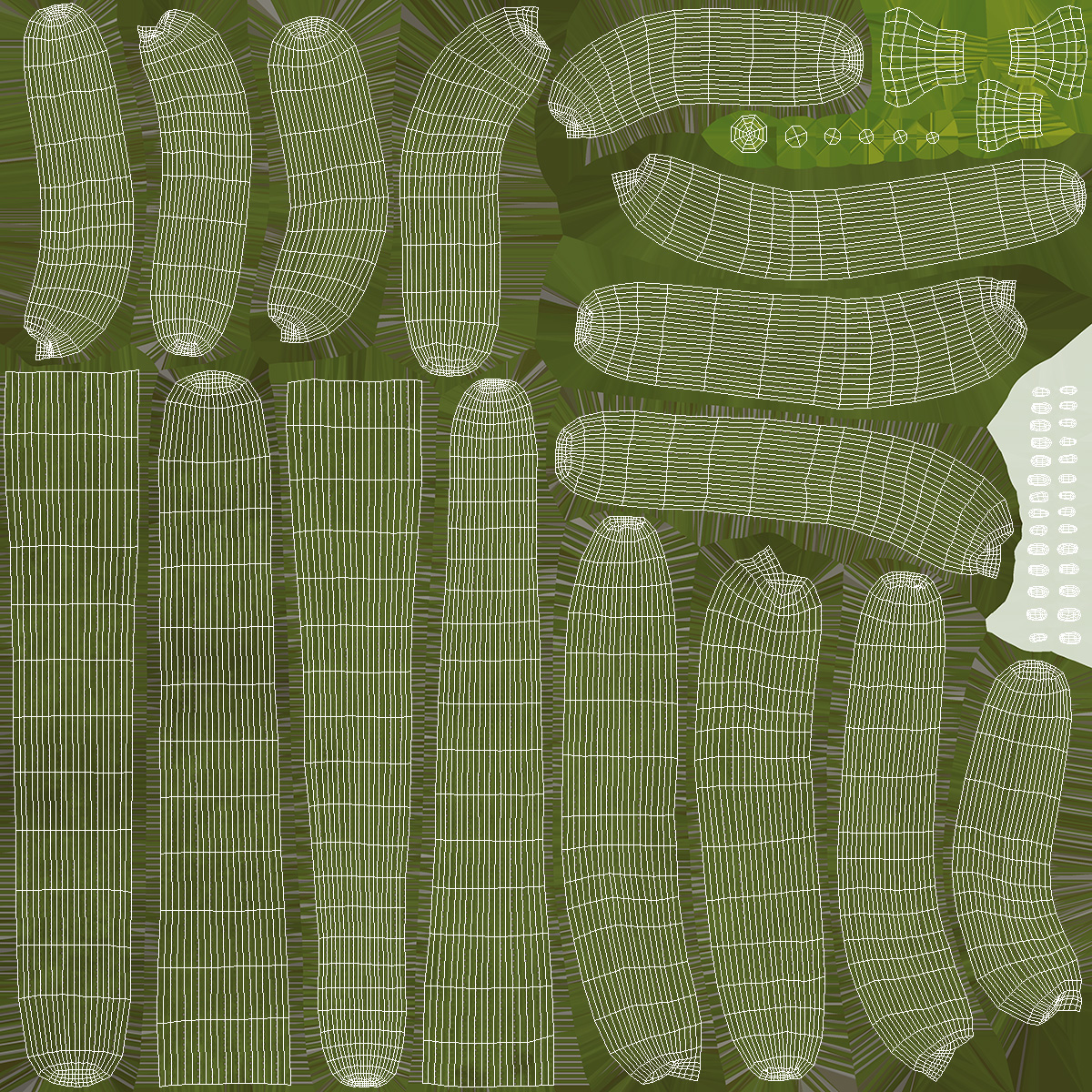 Carnegiea Gigantea Fur 3D