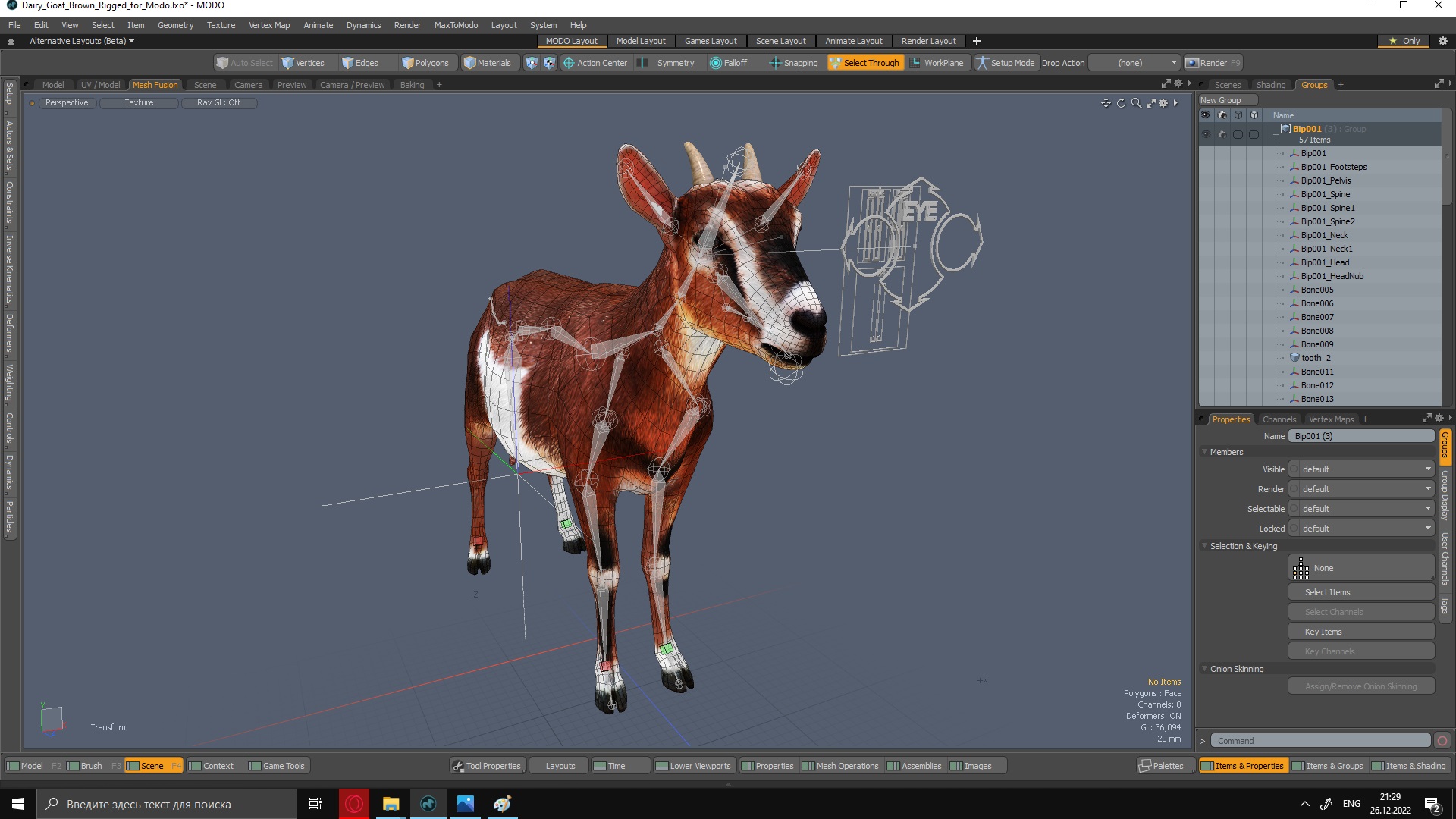Dairy Goat Brown Rigged for Modo 3D