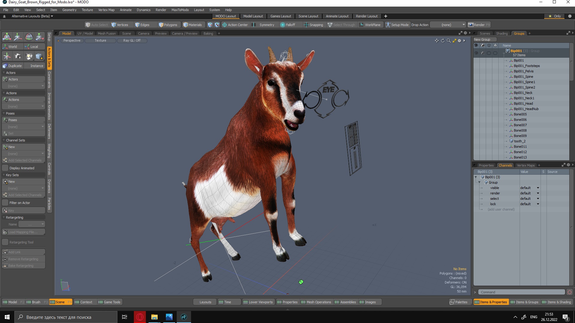 Dairy Goat Brown Rigged for Modo 3D