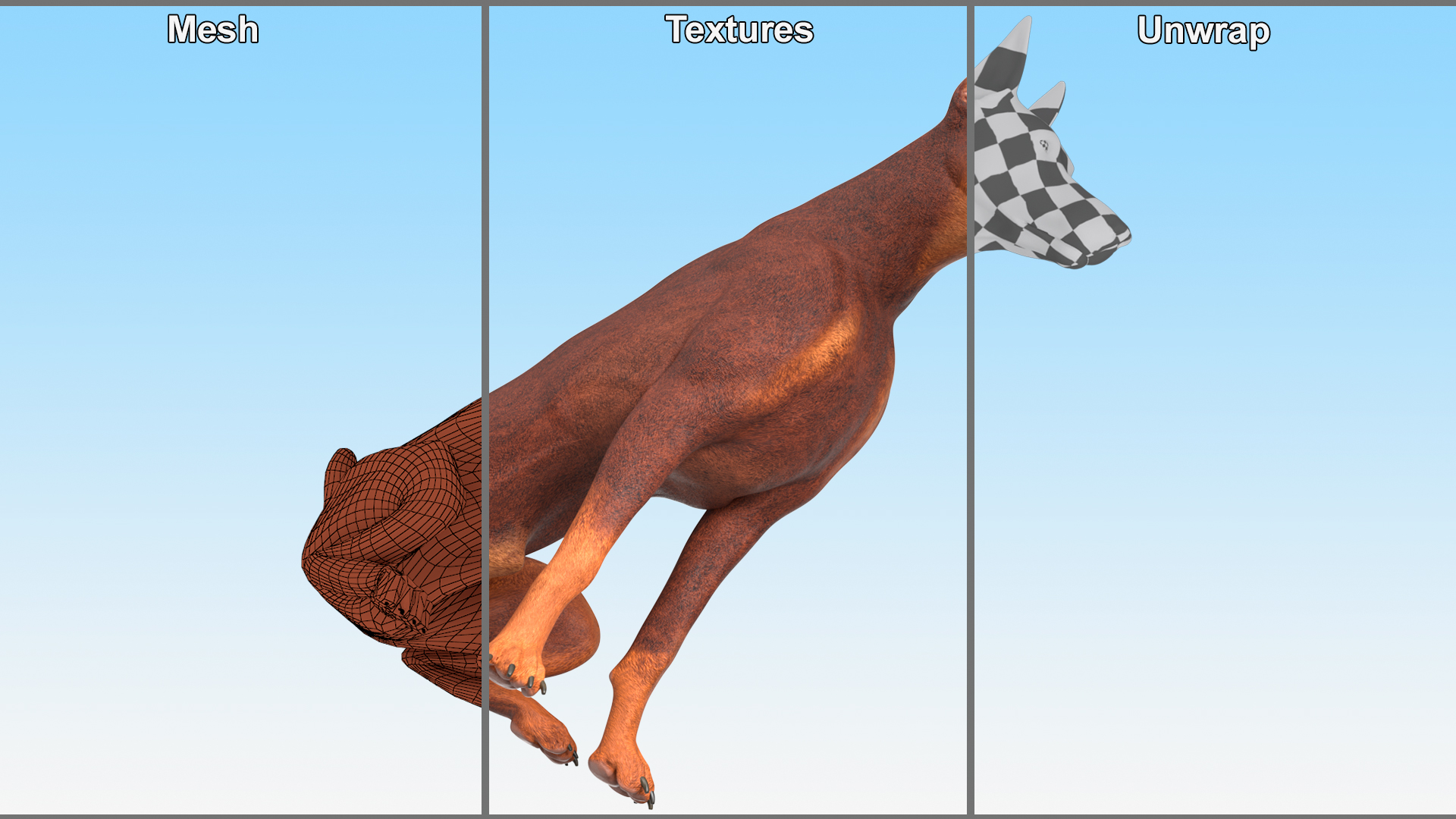 3D Doberman Dog Brown Sits model