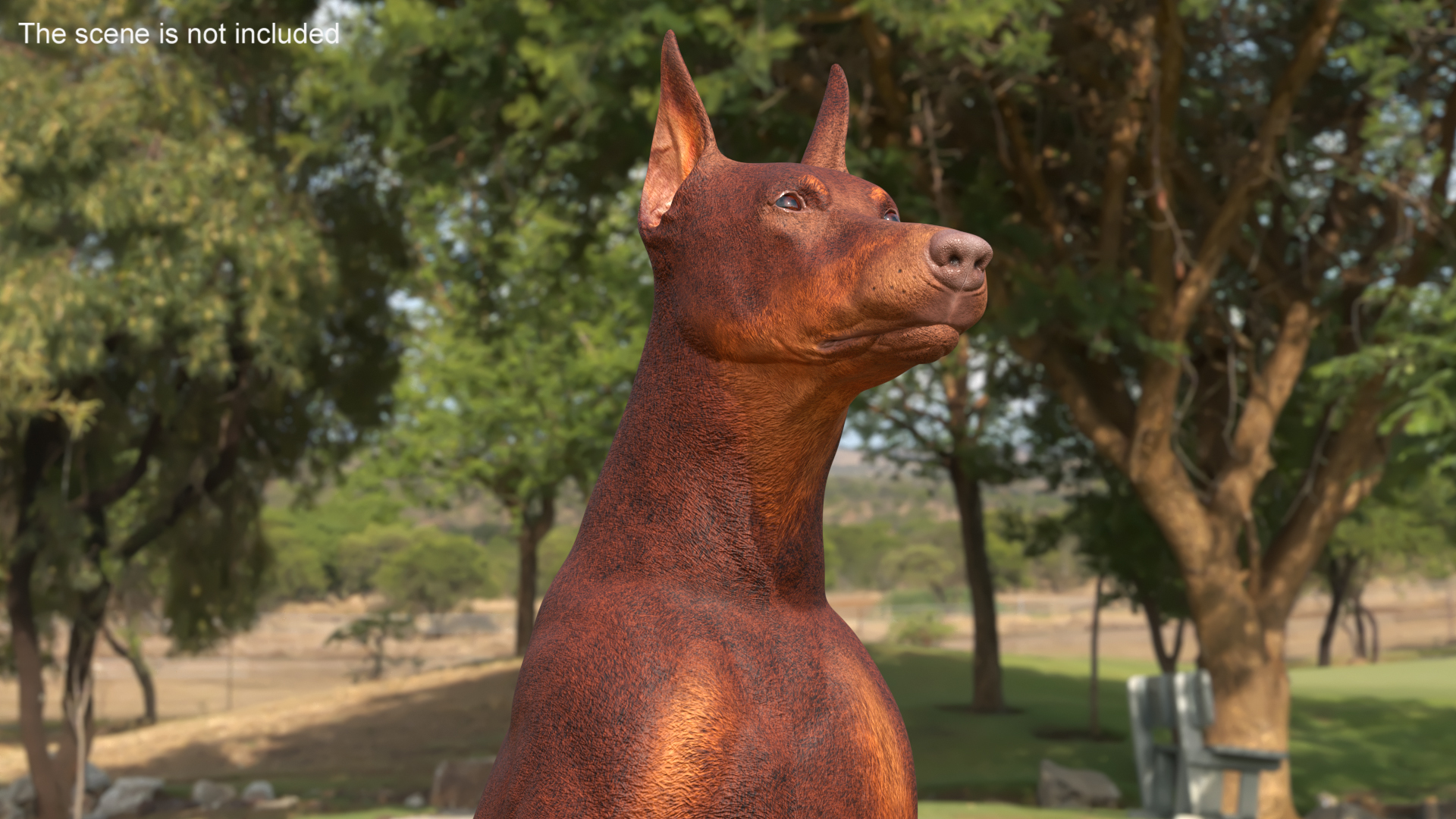 3D Doberman Dog Brown Sits model