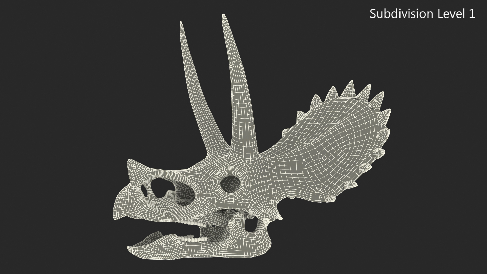 Triceratops Skull 3D