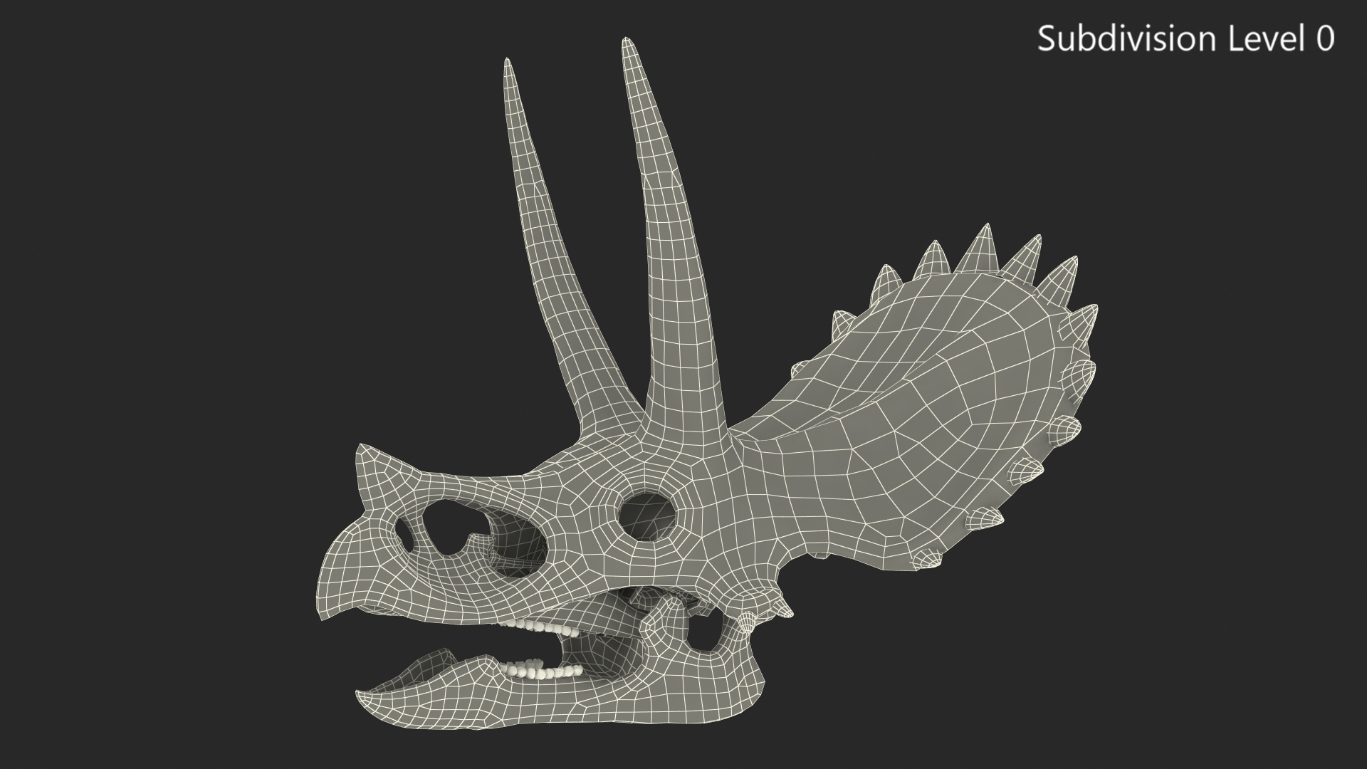 Triceratops Skull 3D