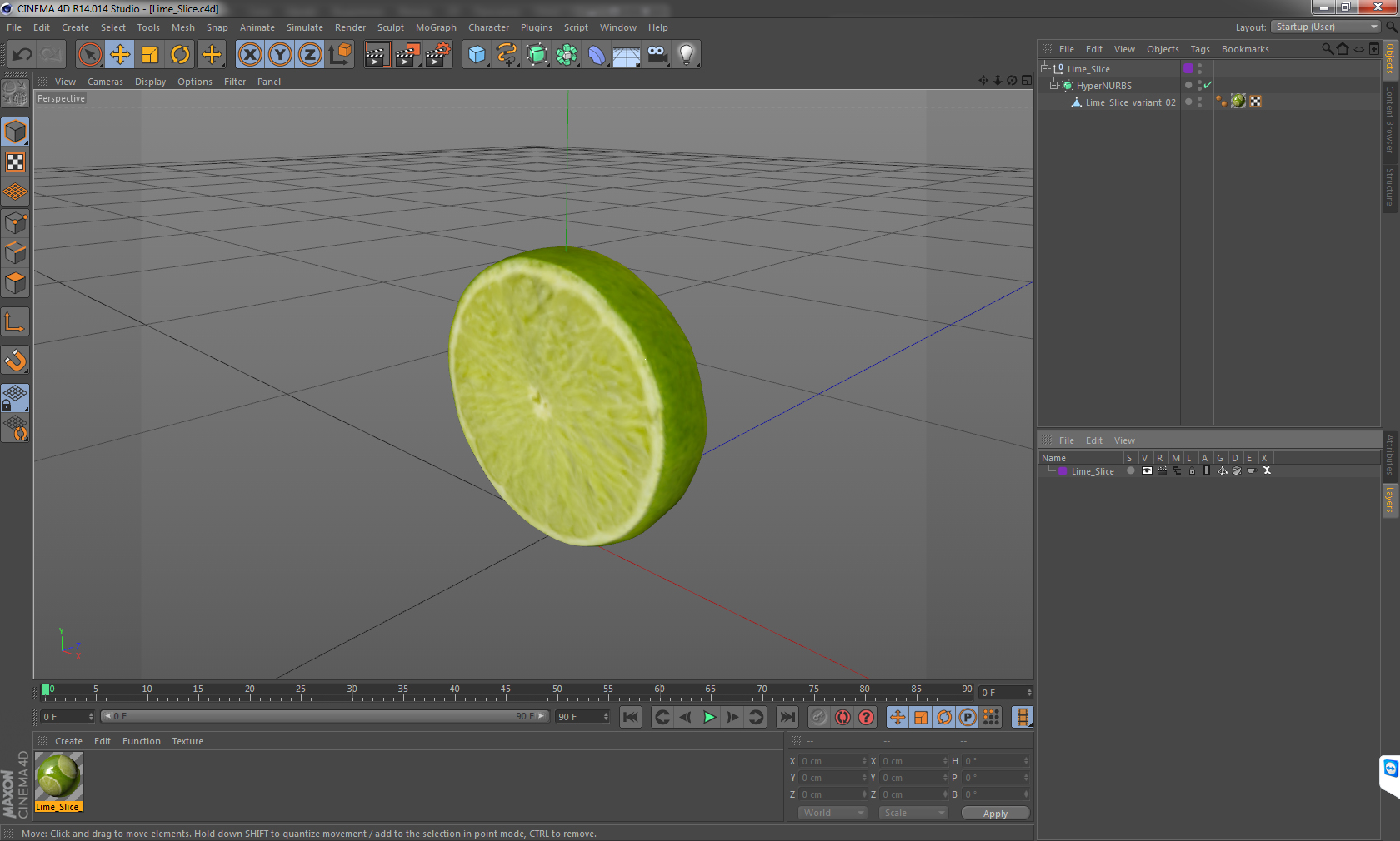 3D model Lime Slice