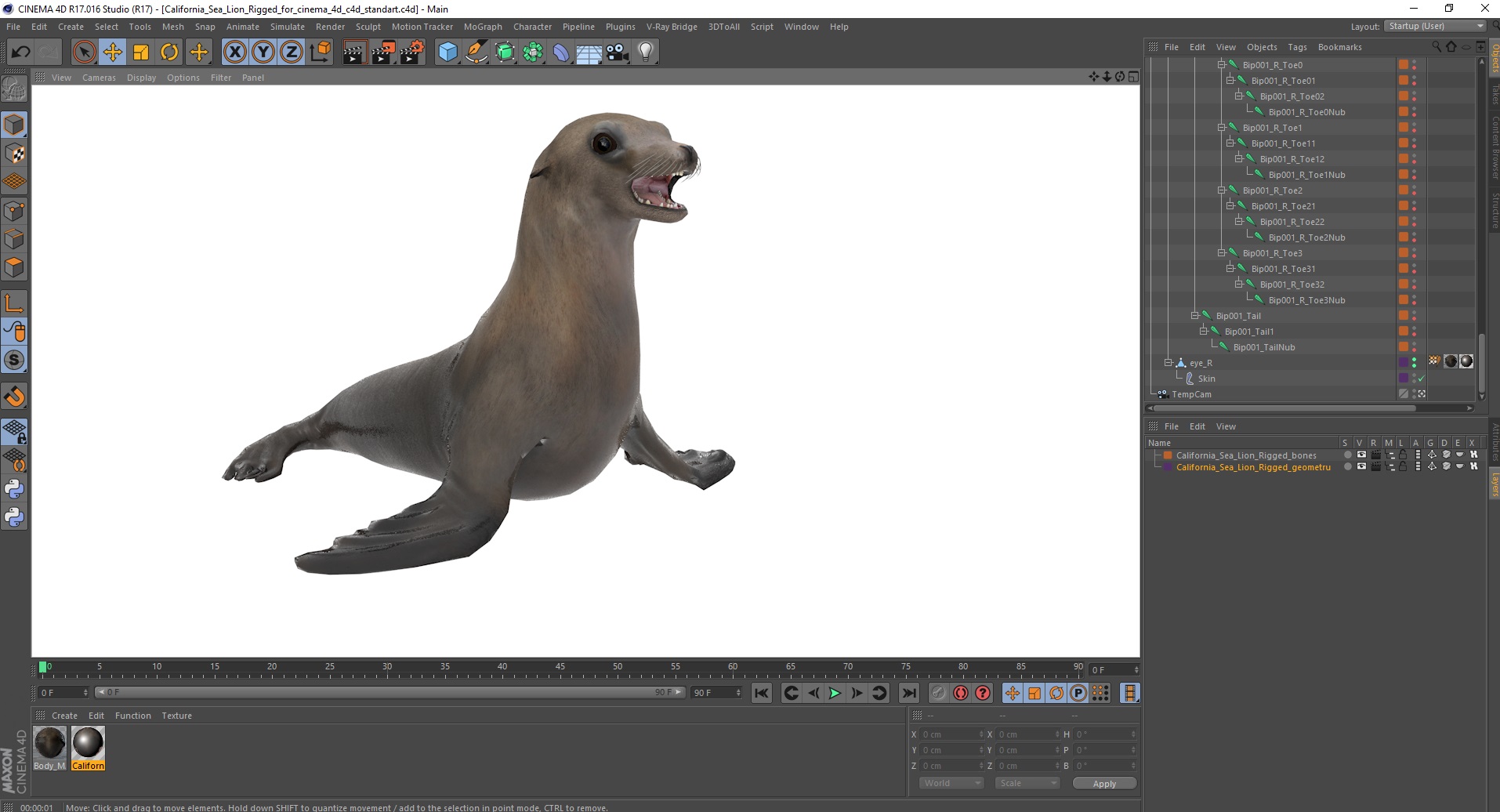 3D model California Sea Lion Rigged for Cinema 4D