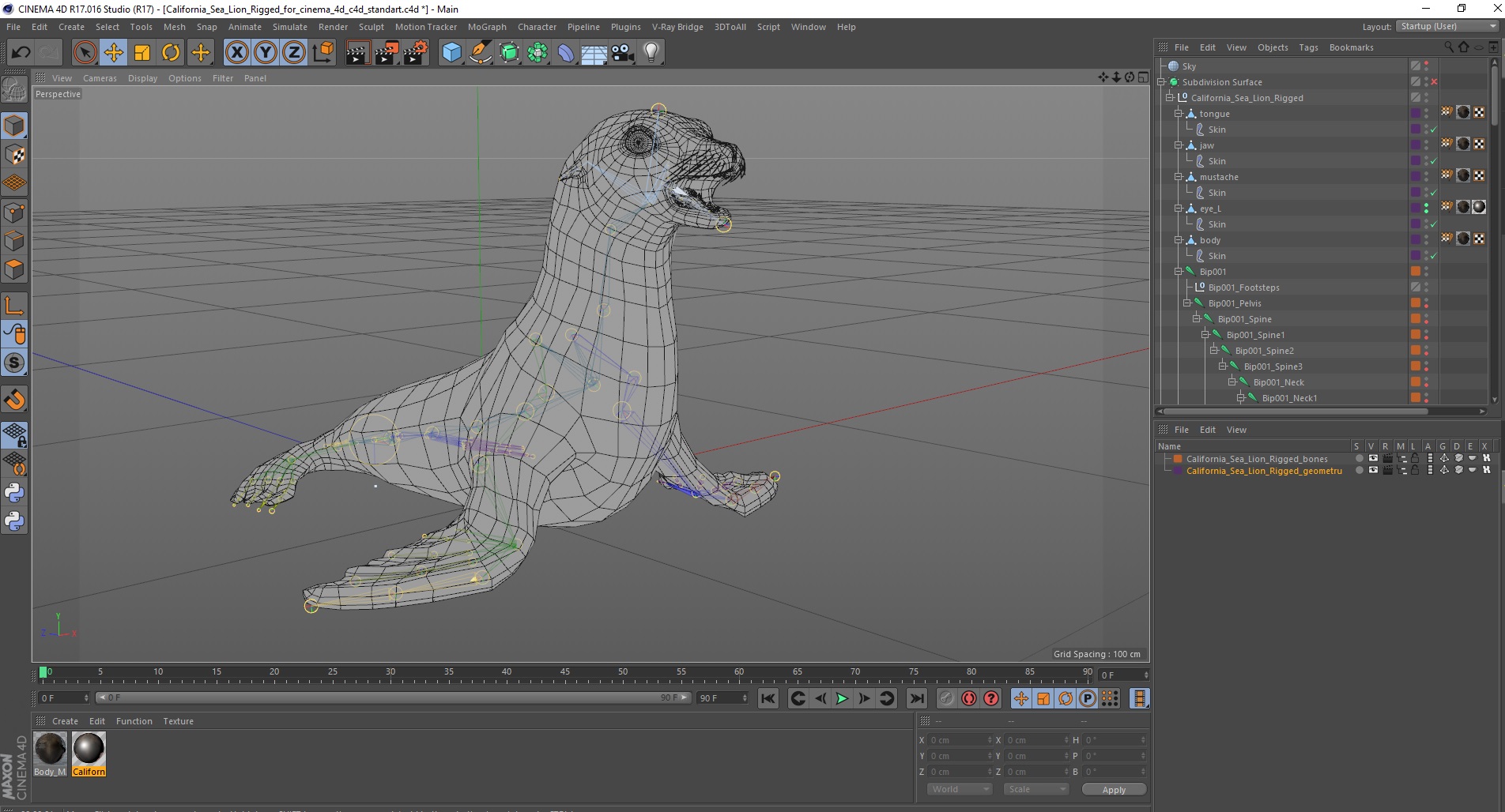 3D model California Sea Lion Rigged for Cinema 4D