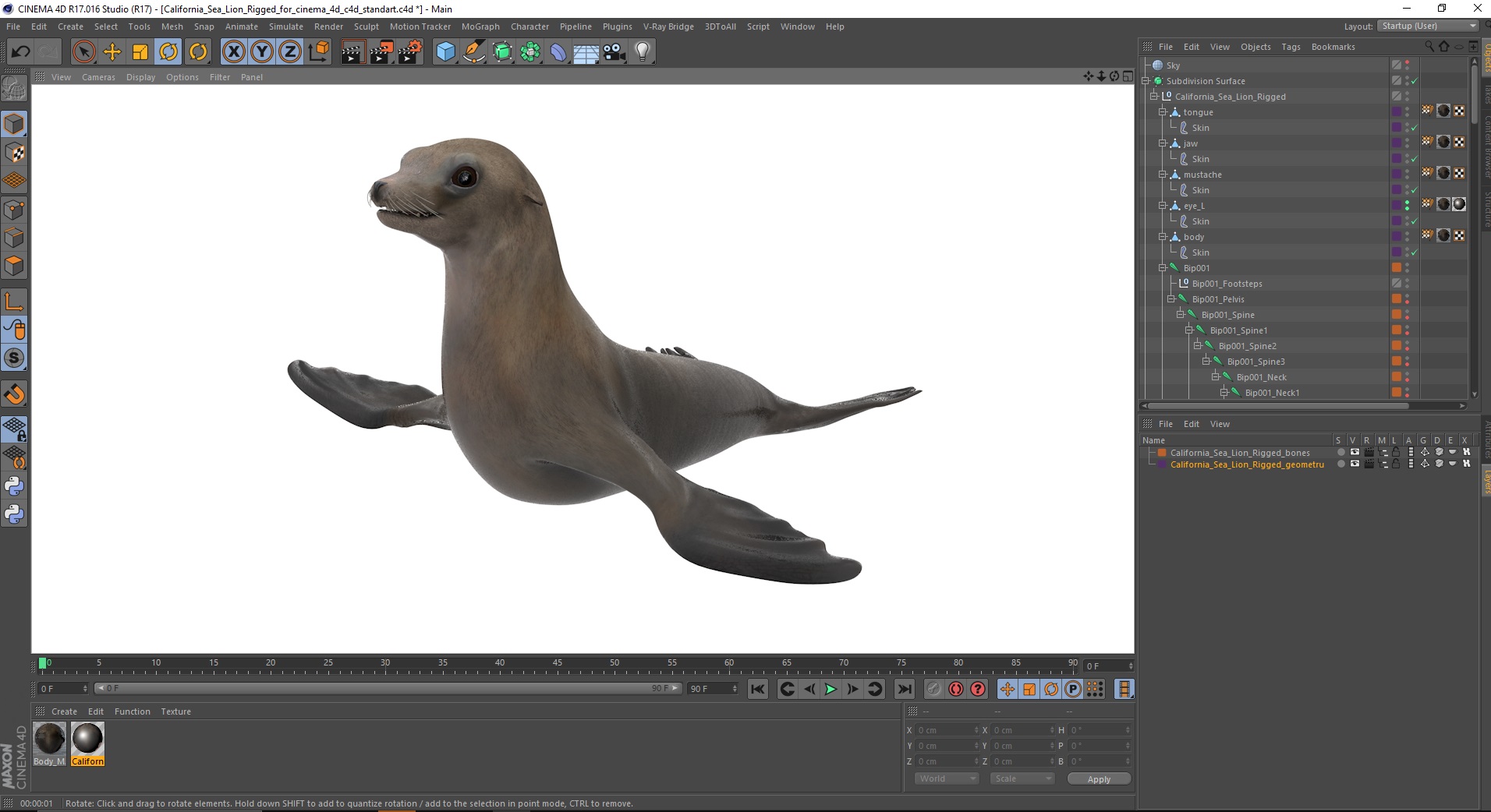 3D model California Sea Lion Rigged for Cinema 4D