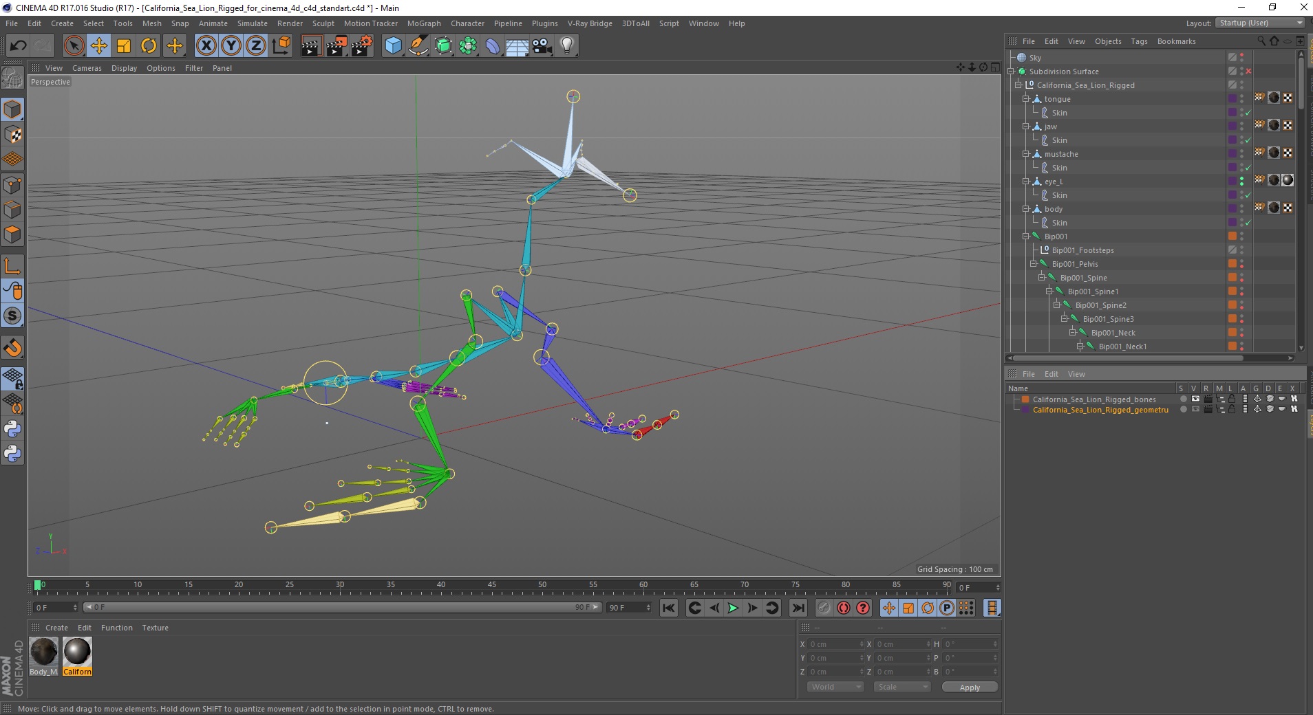 3D model California Sea Lion Rigged for Cinema 4D
