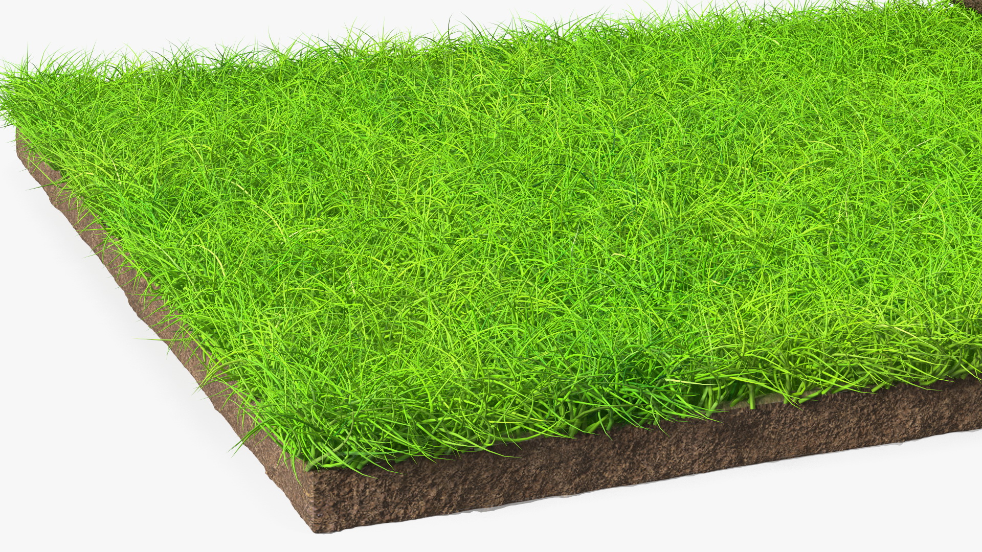 3D Lawn Turf Roll fur model