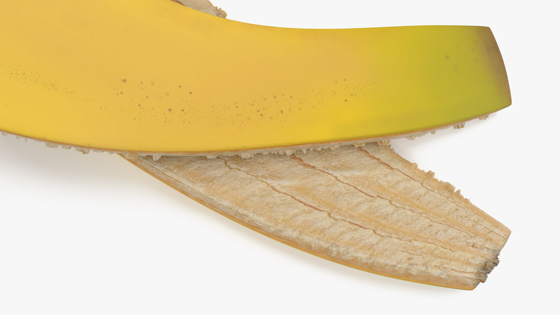 3D Banana Rind