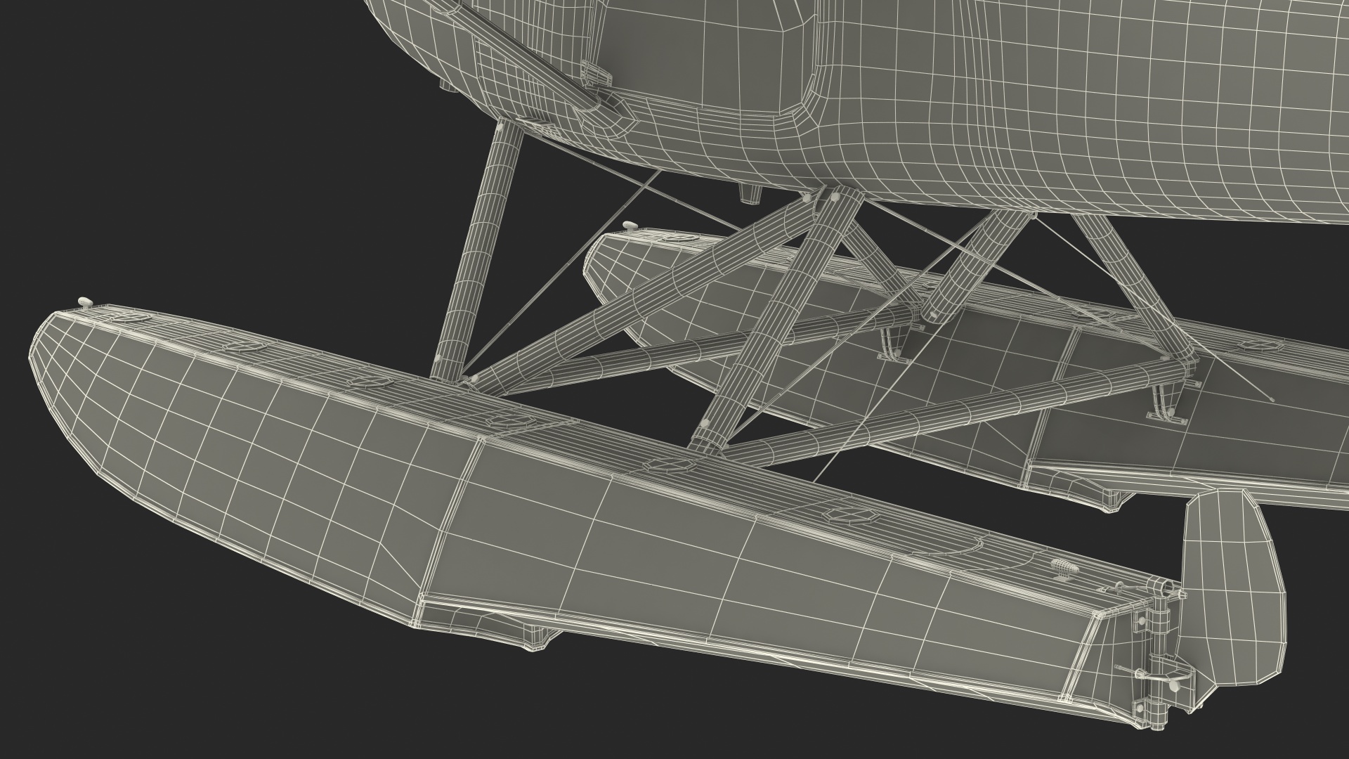 Light Floatplane Aircraft Rigged 3D