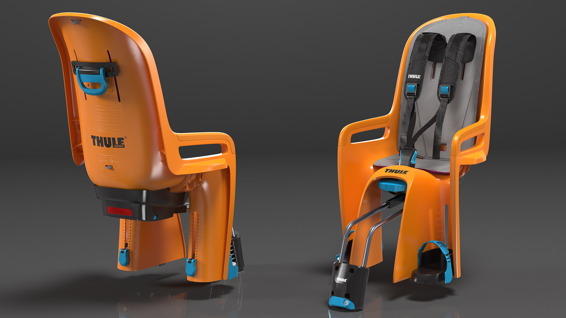 3D Thule RideAlong Child Bike Seat