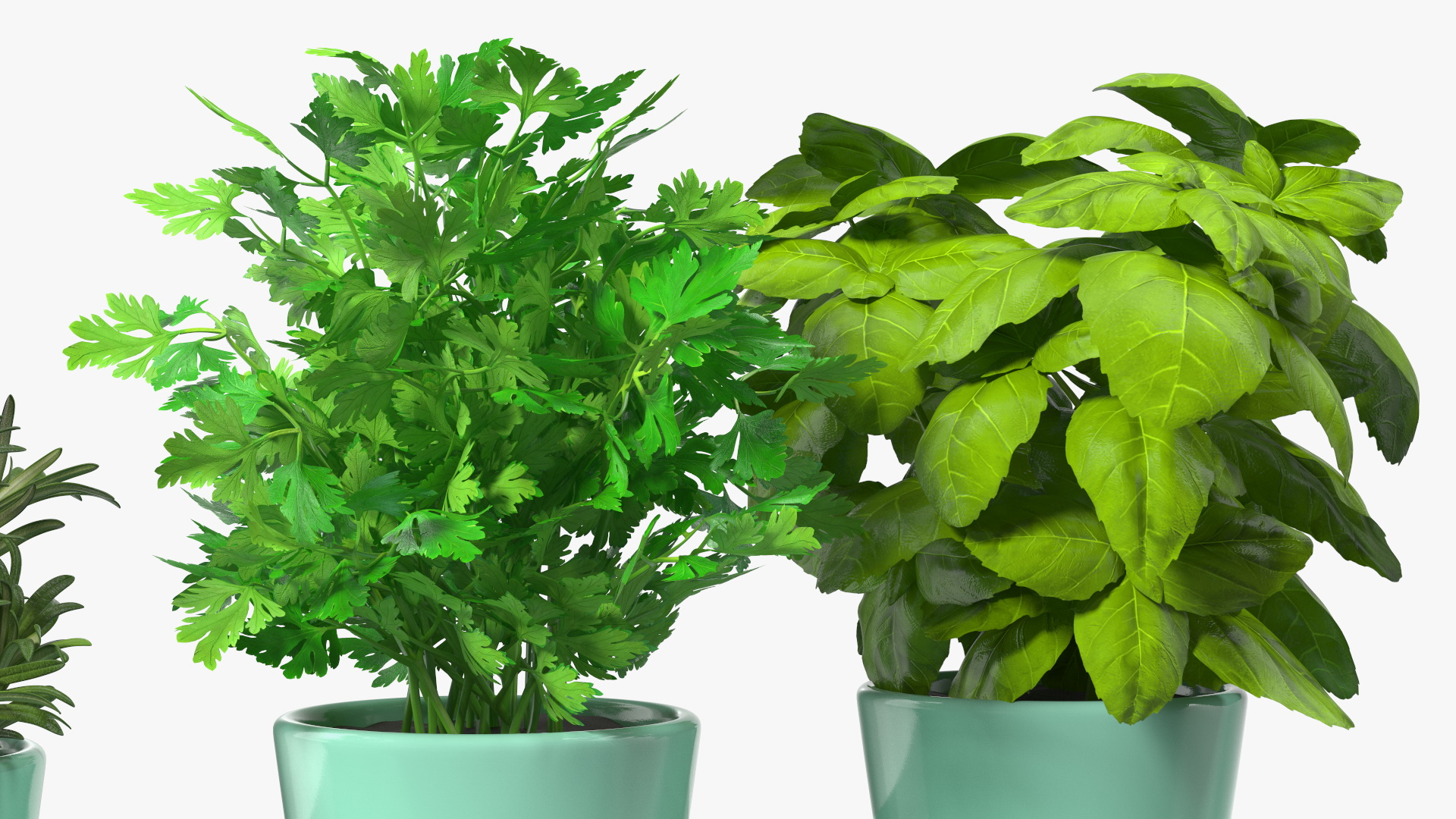 Herbs in Trio Stoneware Pot Sagaform Green 3D