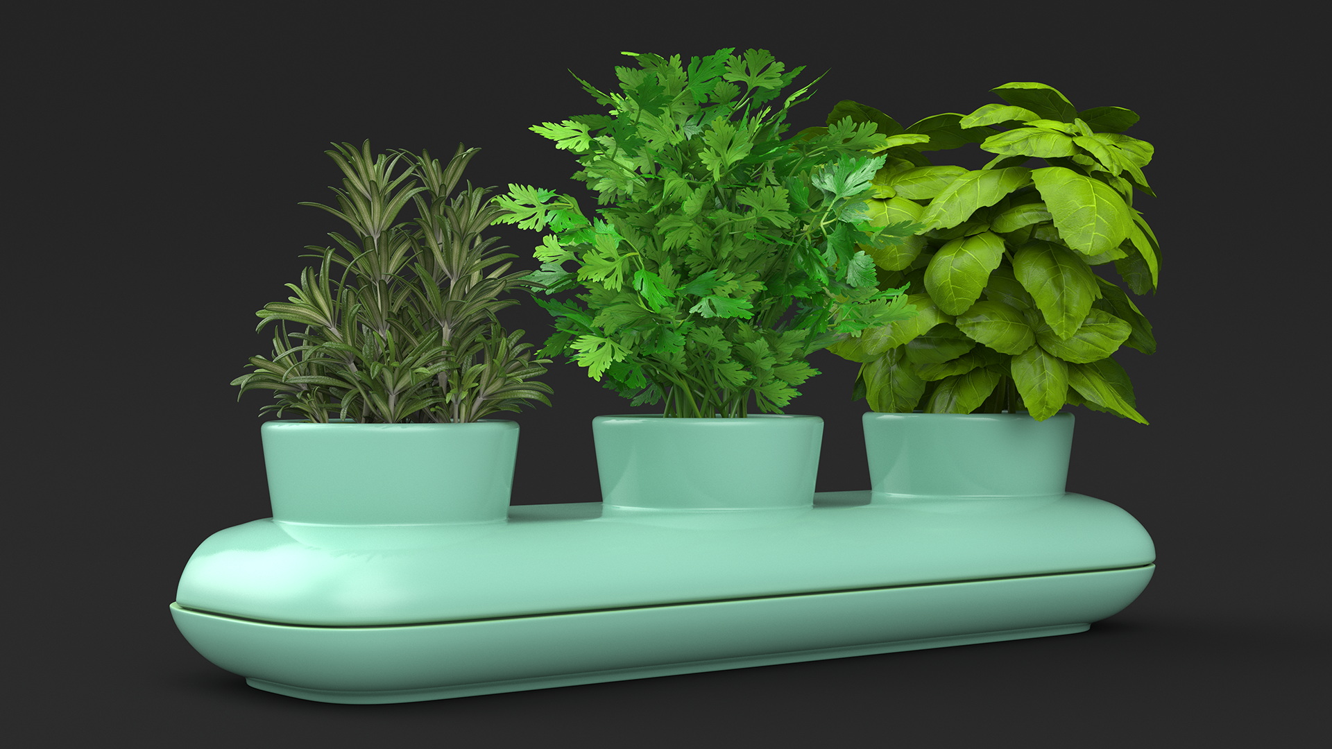 Herbs in Trio Stoneware Pot Sagaform Green 3D