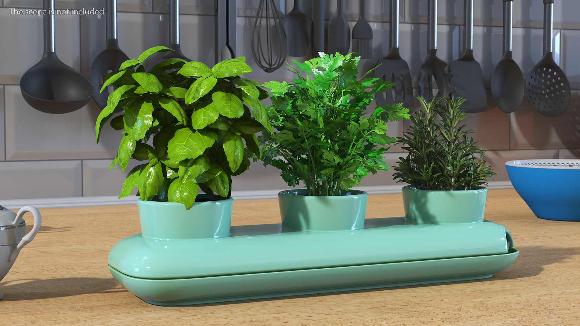 Herbs in Trio Stoneware Pot Sagaform Green 3D