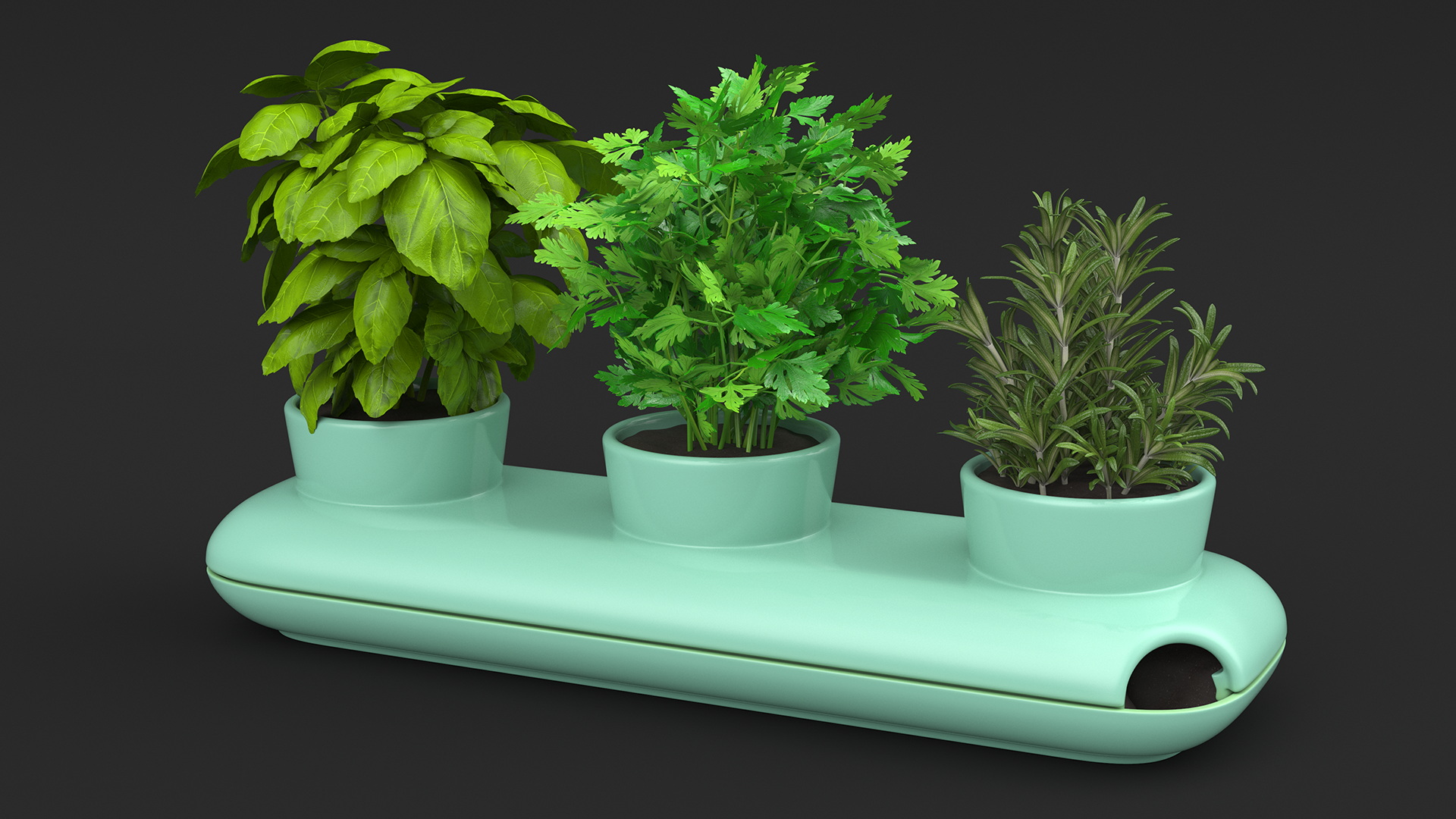 Herbs in Trio Stoneware Pot Sagaform Green 3D