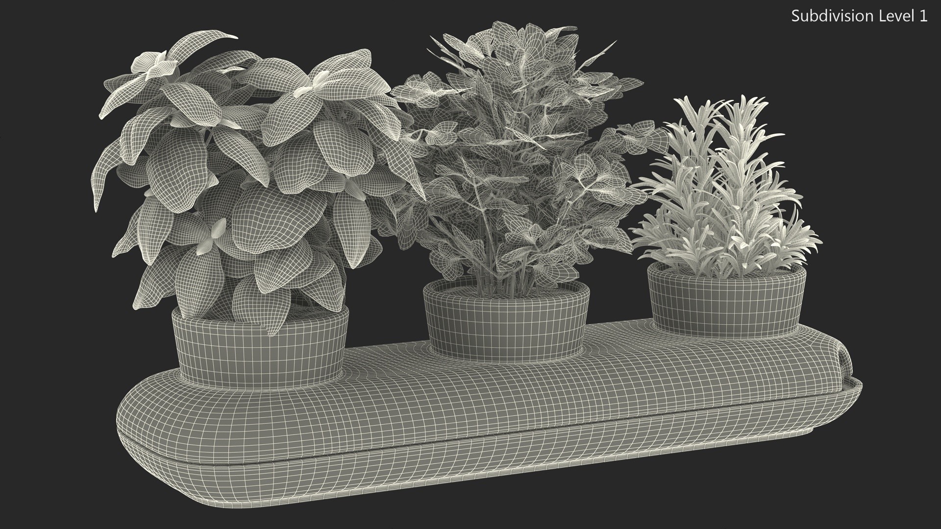 Herbs in Trio Stoneware Pot Sagaform Green 3D
