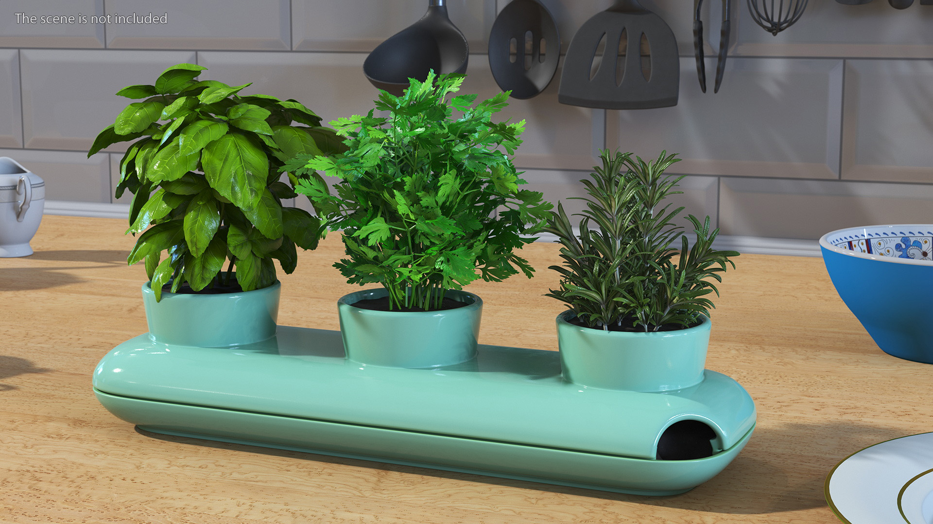 Herbs in Trio Stoneware Pot Sagaform Green 3D