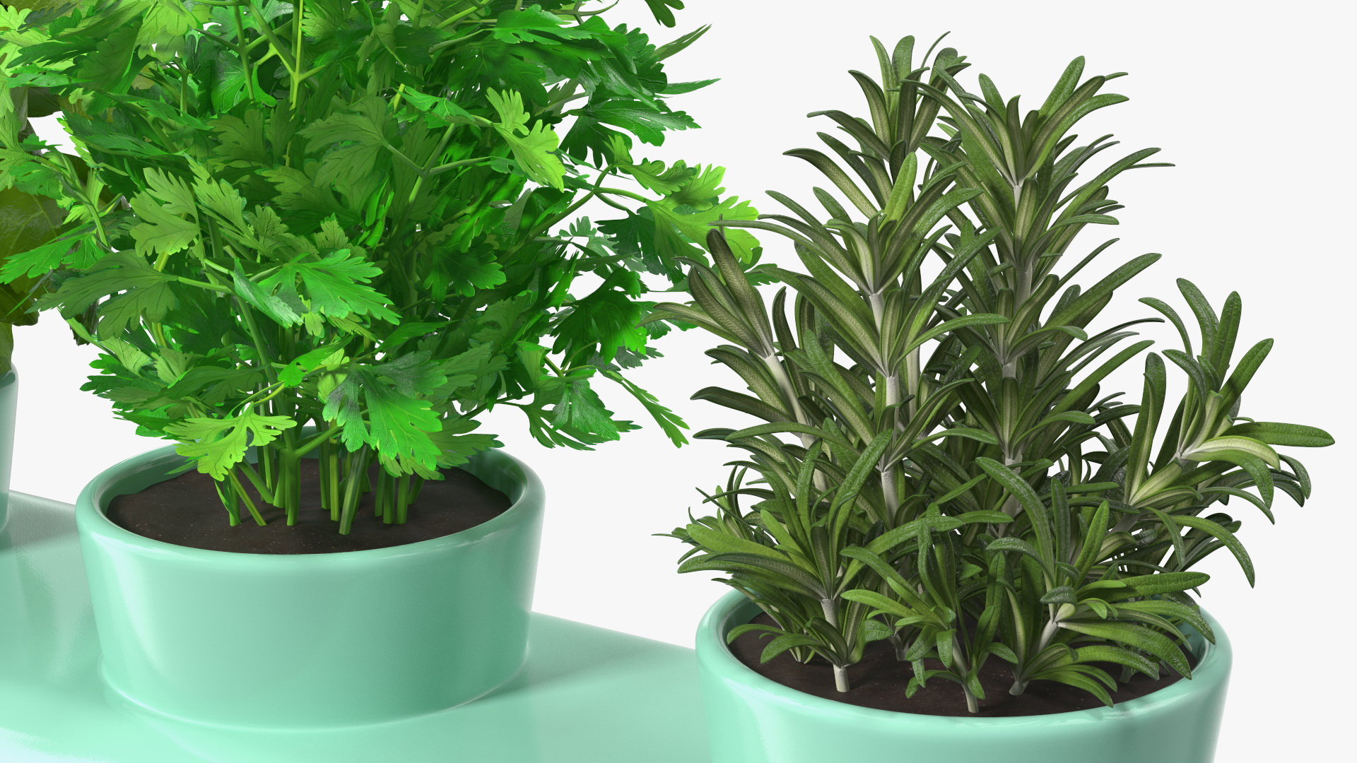 Herbs in Trio Stoneware Pot Sagaform Green 3D