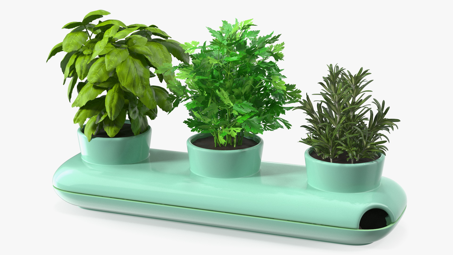 Herbs in Trio Stoneware Pot Sagaform Green 3D