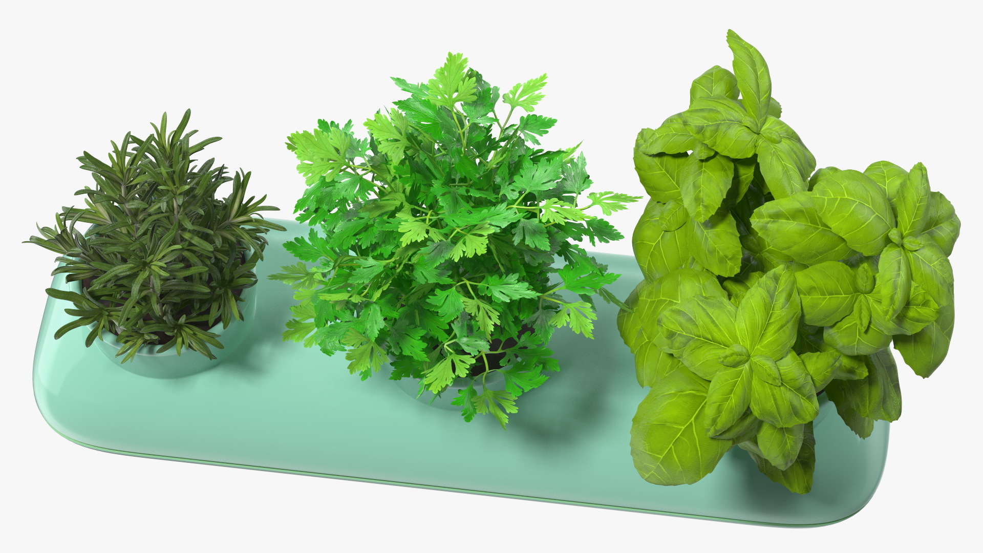 Herbs in Trio Stoneware Pot Sagaform Green 3D