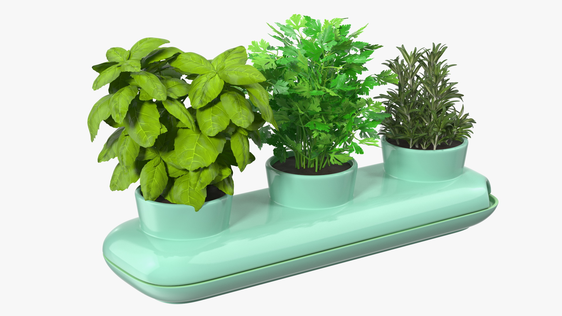 Herbs in Trio Stoneware Pot Sagaform Green 3D